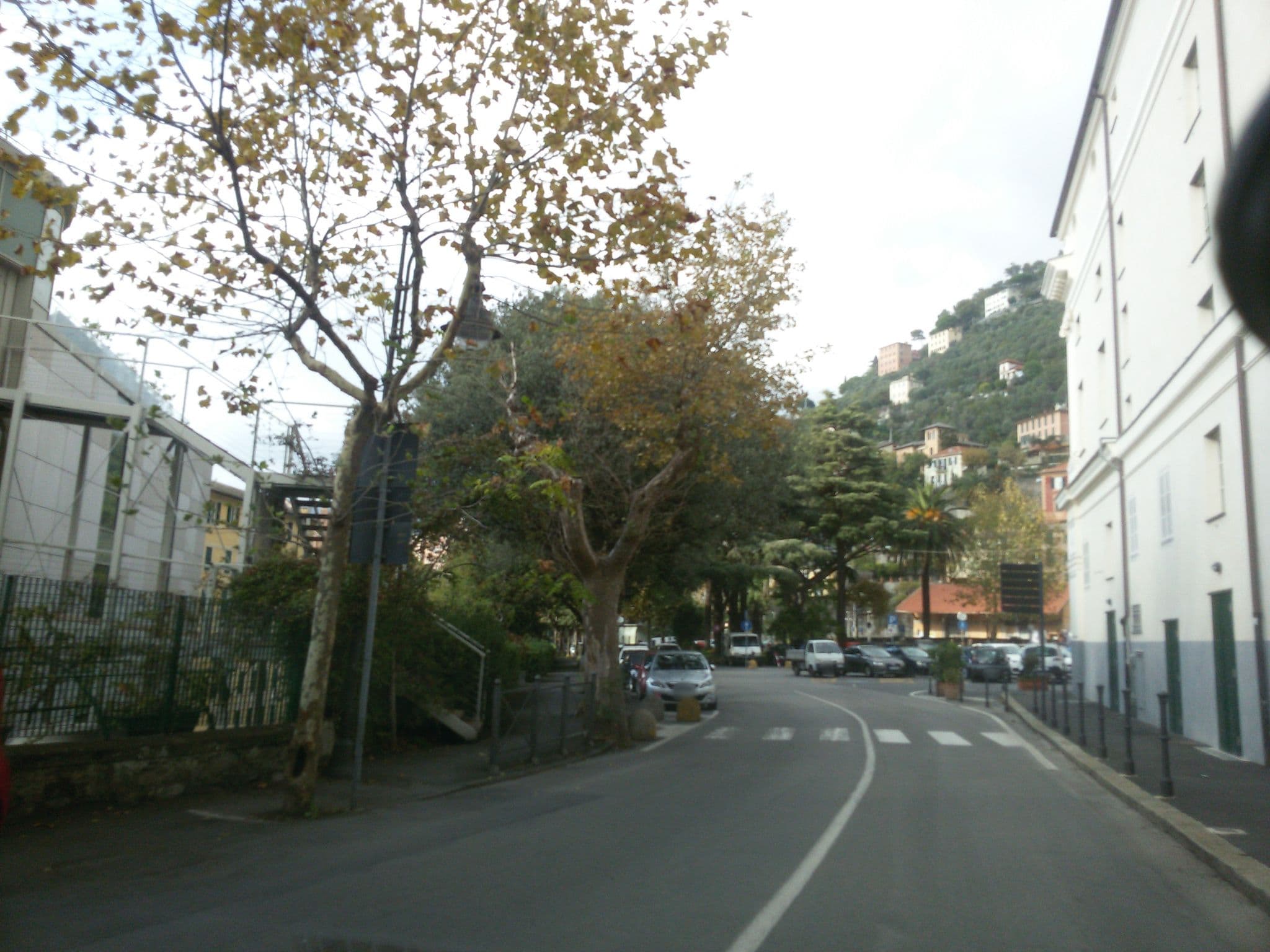 Street view near Carrick Hotel, Camogli — © ale_zena_it (CC BY-SA · Mapillary)