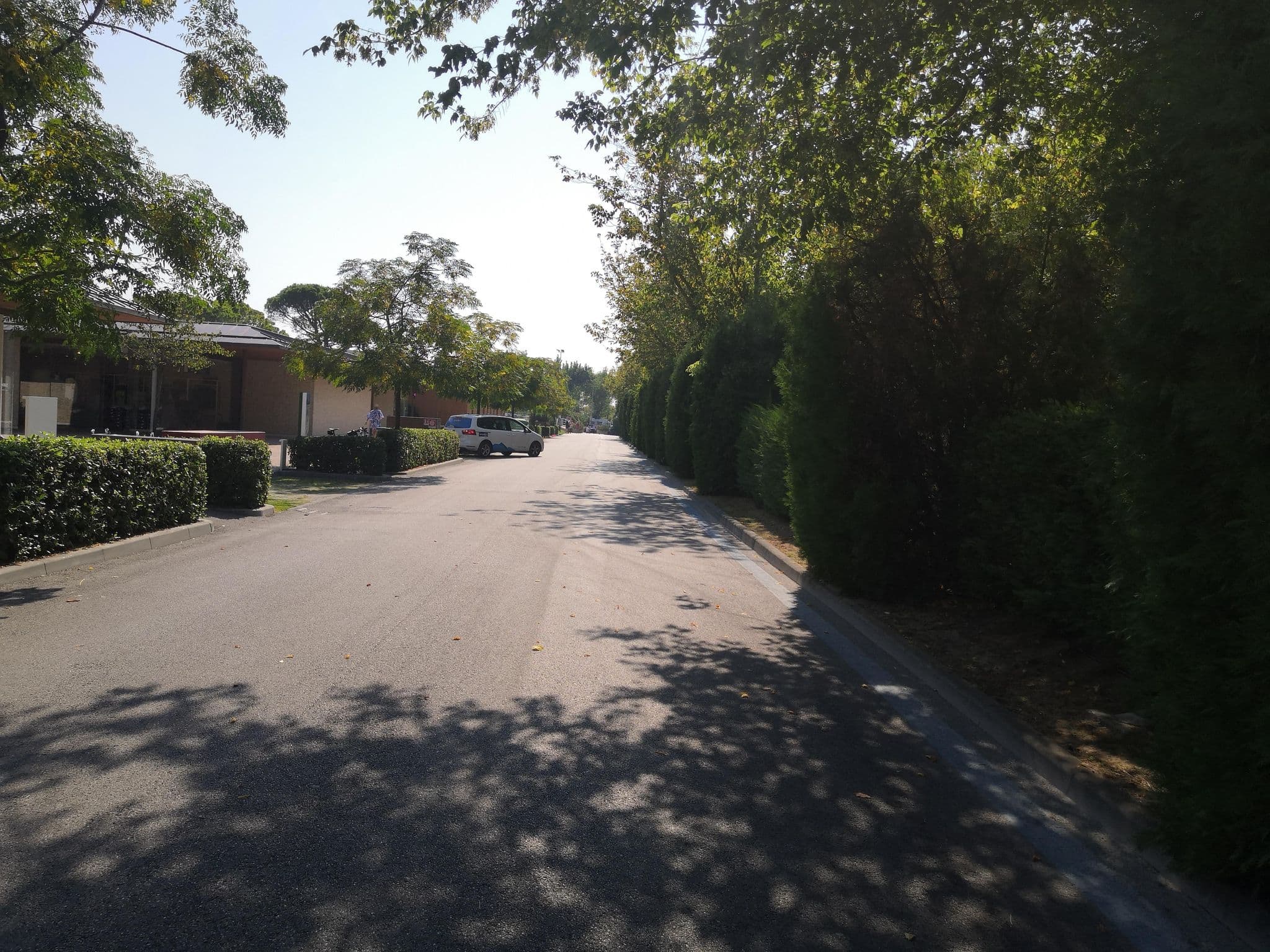 Street view near Marina di Venezia, Ca' Savio — © ralrei (CC BY-SA · Mapillary)