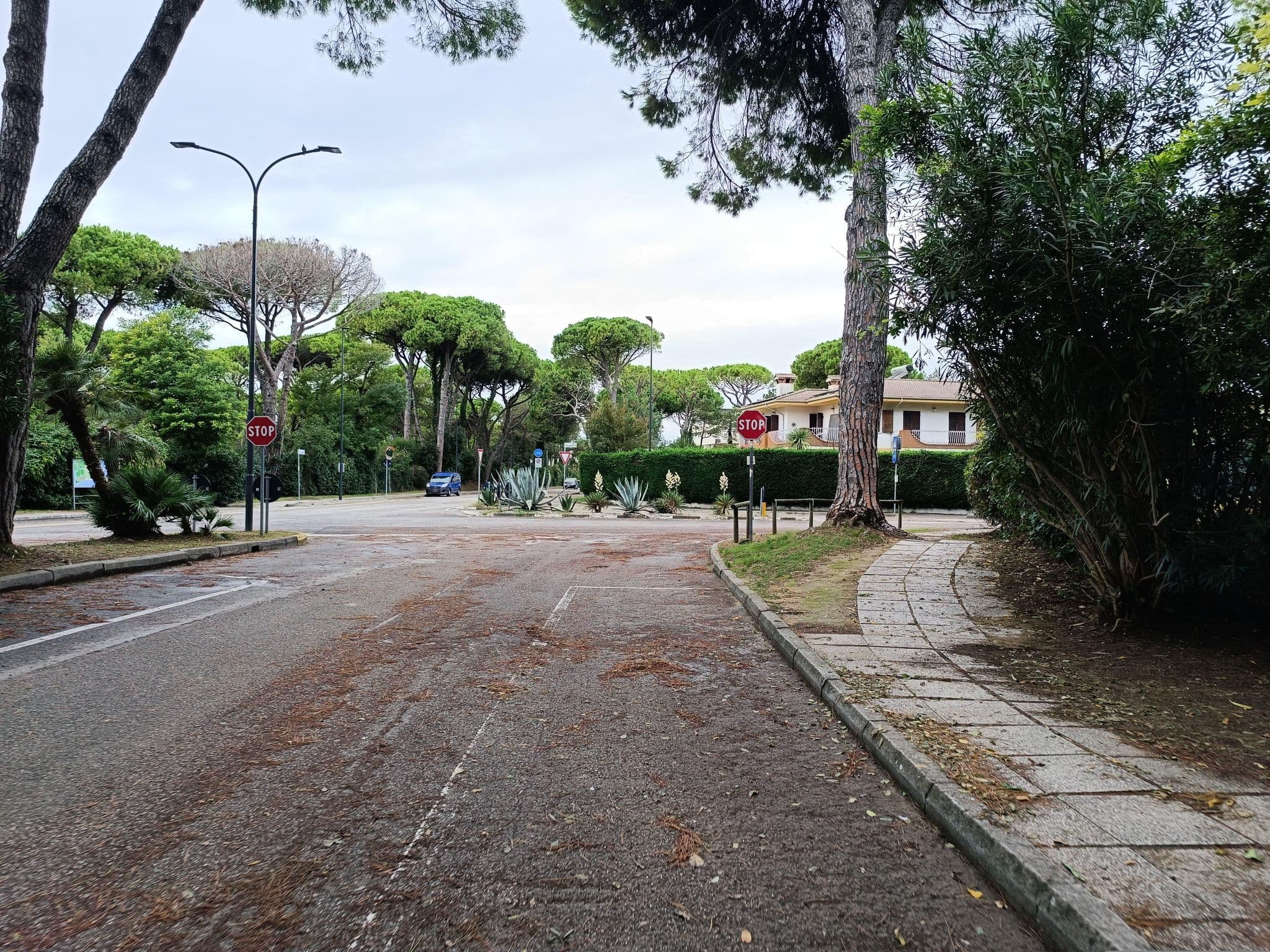 Street view near Camping Village Pino Mare, Lignano Sabbiadoro