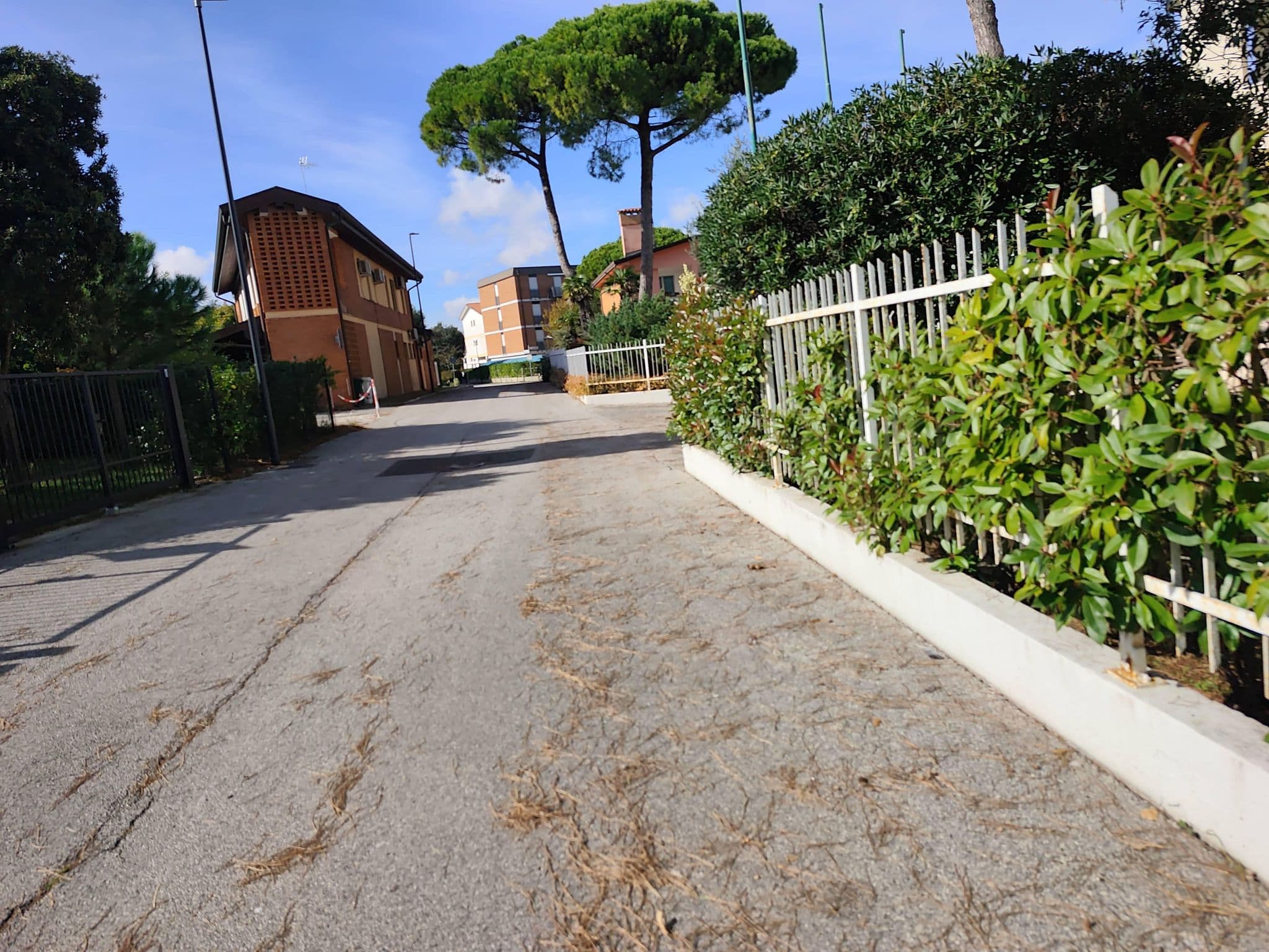 Street view near Esplanada, Bibione — © Duro (CC BY-SA · Mapillary)