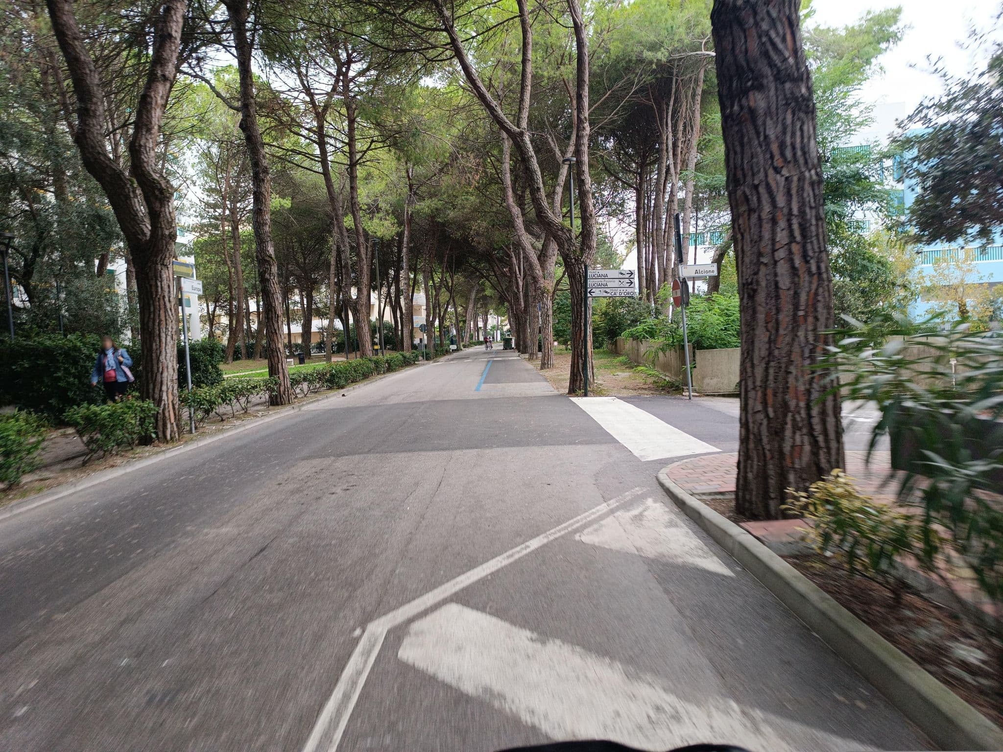 Street view near Venice Beach, Bibione
