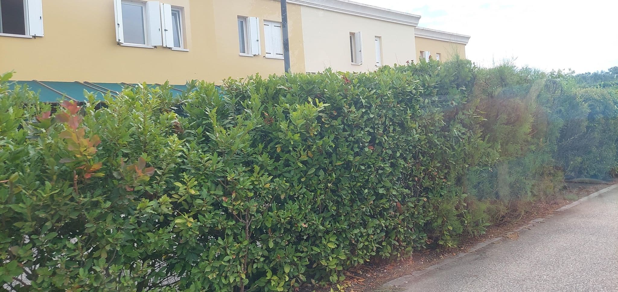 Street view near F, Caorle