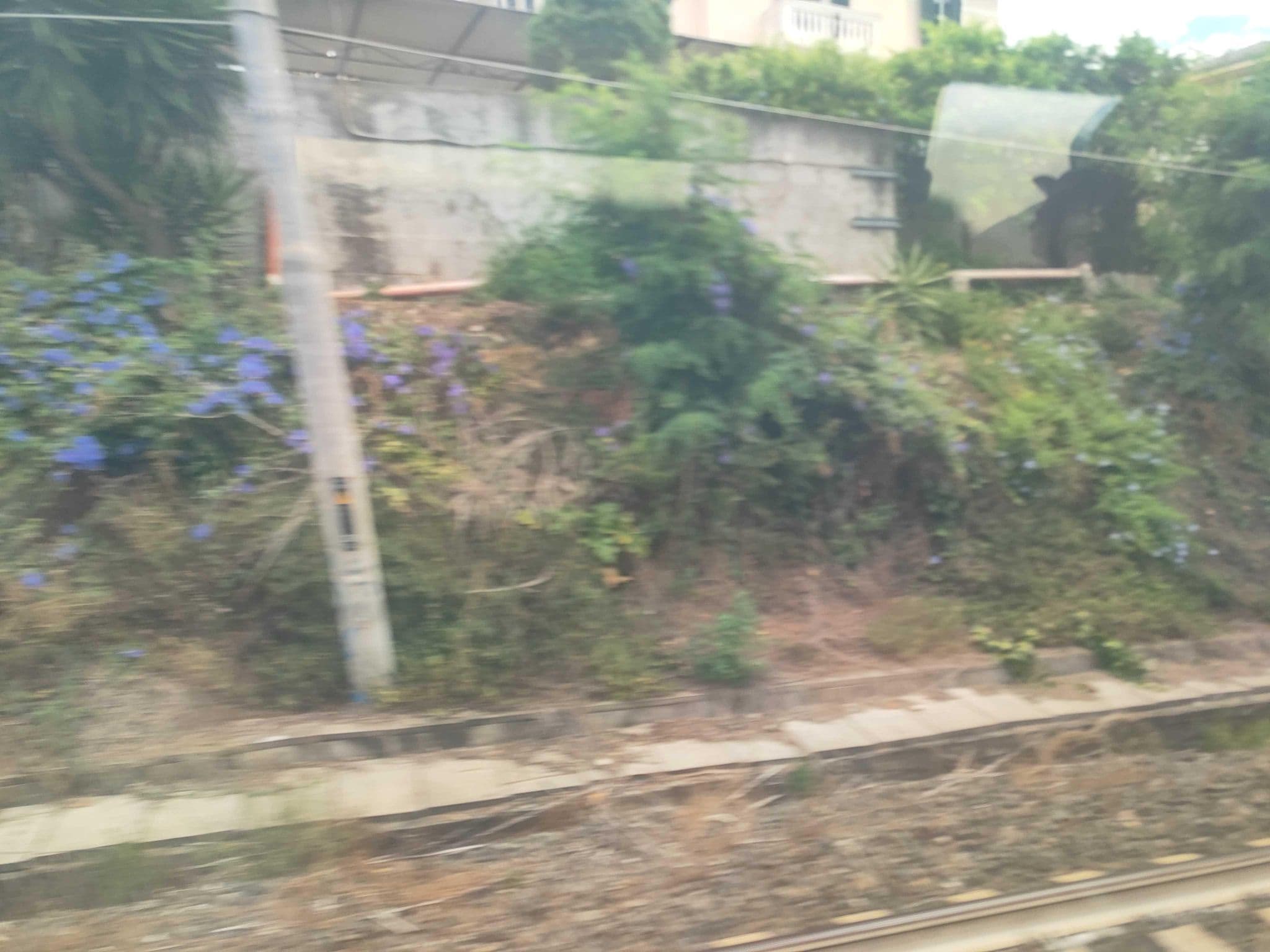 Street view near Hotel La Giara, Recco — © omfg_notpr (CC BY-SA · Mapillary)