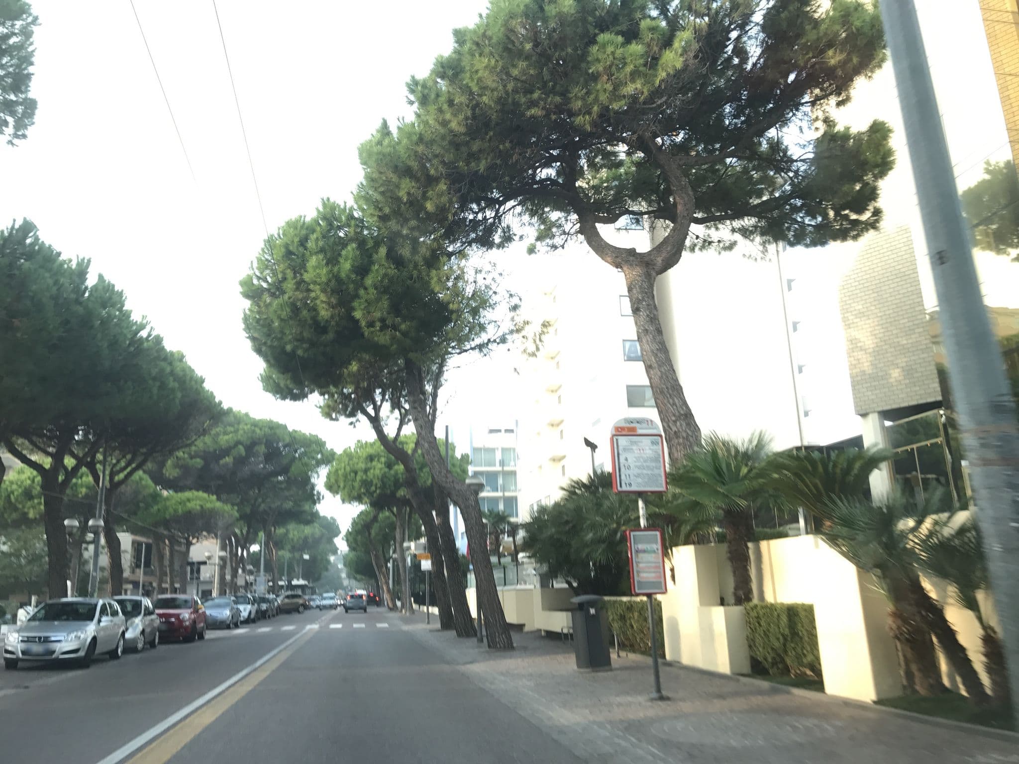 Street view near Hotel De Londres, Rimini