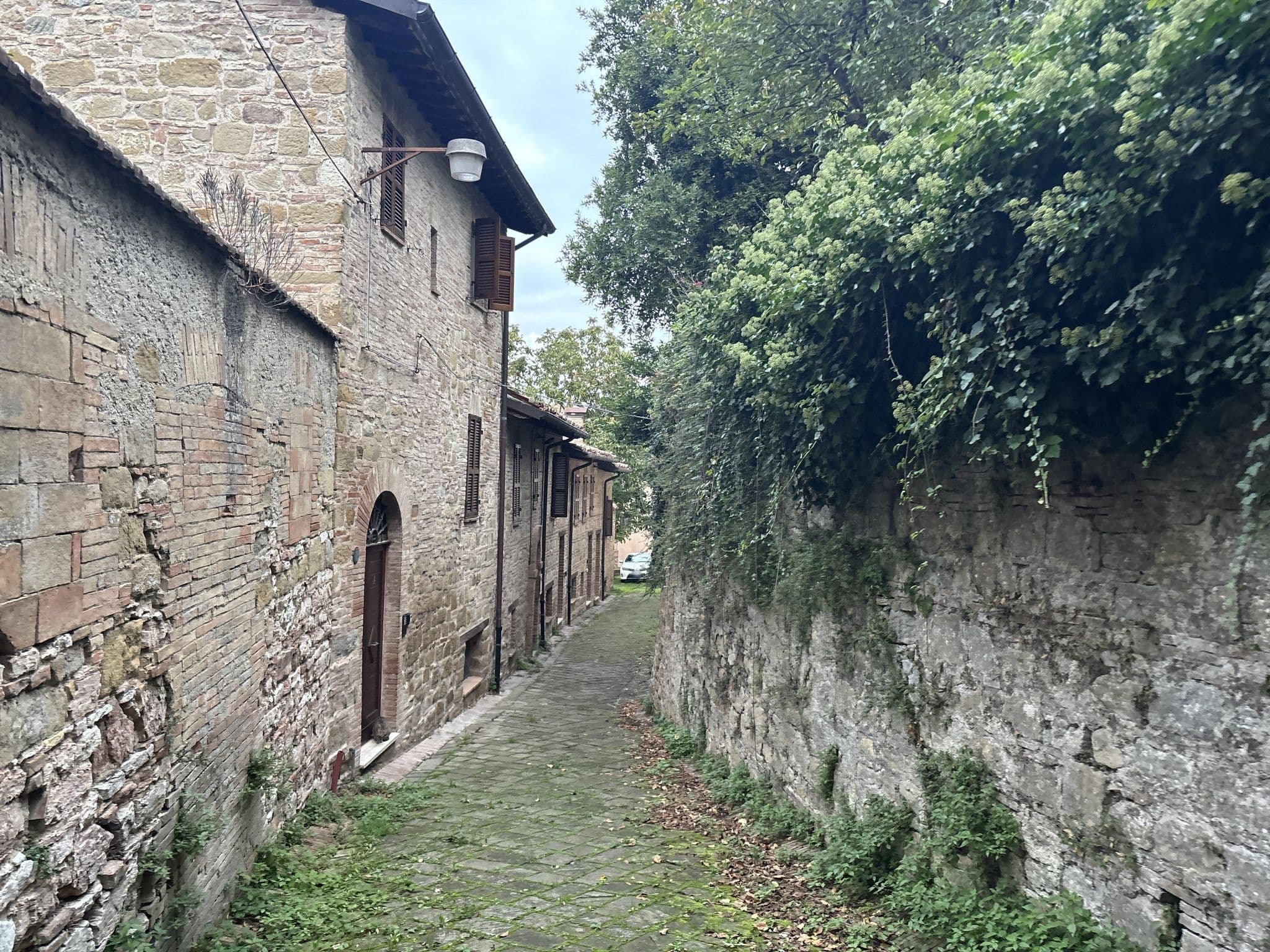 Street view near Foresteria Unicam, Camerino — © robot8a (CC BY-SA · Mapillary)