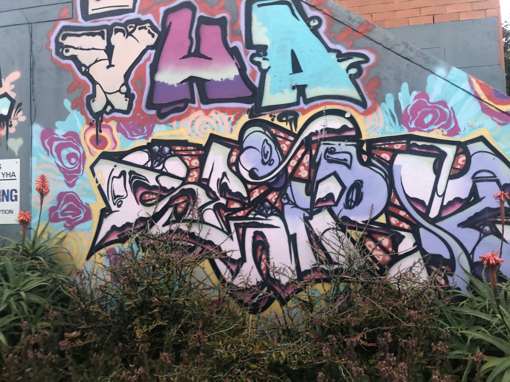 Street view near Coffs Harbour YHA Backpackers Resort, Coffs Harbour — © nicholsp (CC BY-SA · Mapillary)