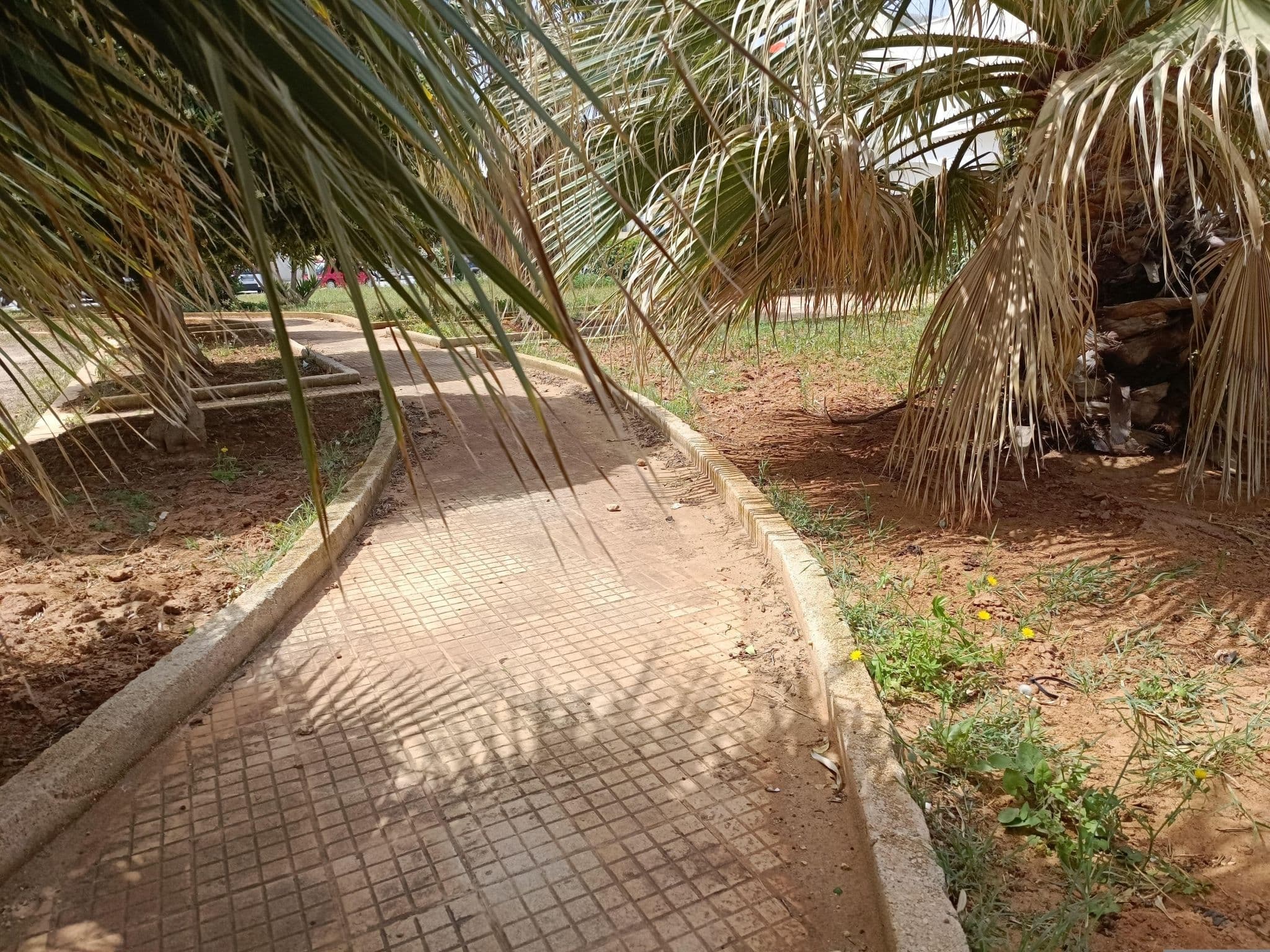 Street view near Hotel Solarium, San Vito Lo Capo — © ESTmapper1001 (CC BY-SA · Mapillary)