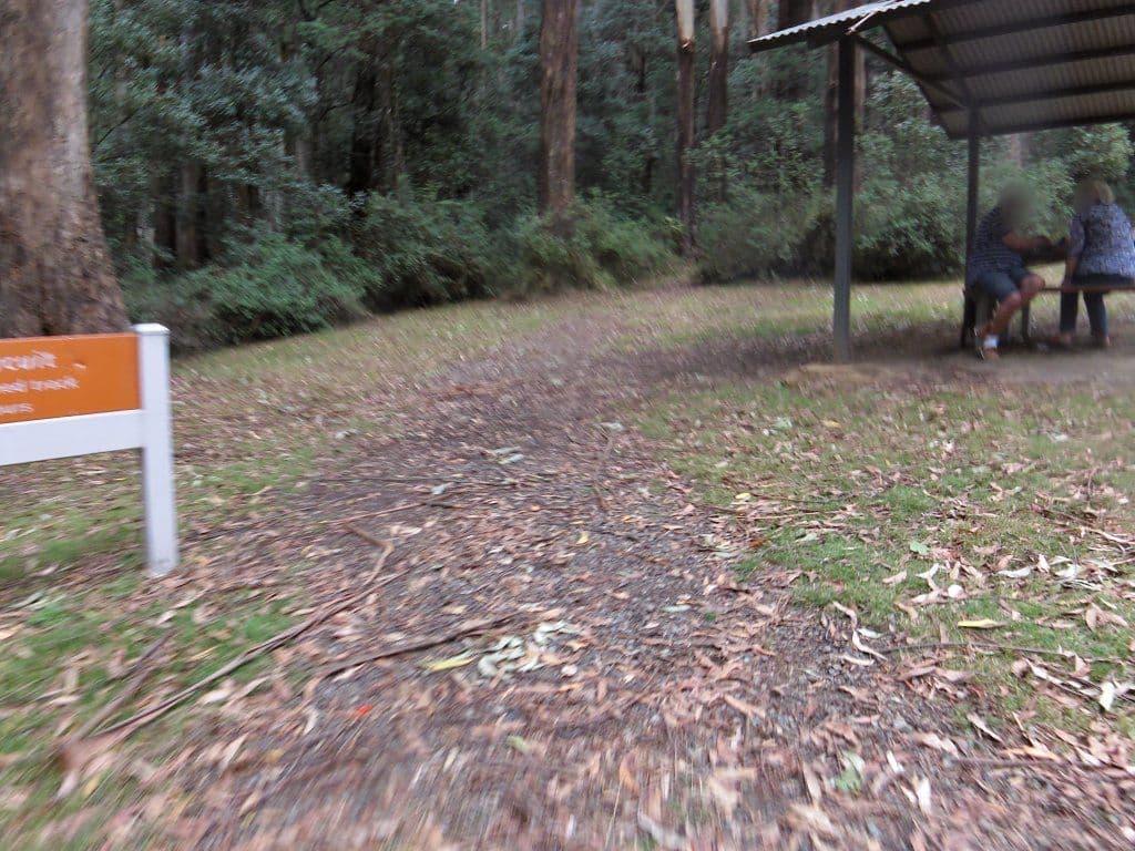Street view near Tanglefoot, Healesville — © mander (CC BY-SA · Mapillary)