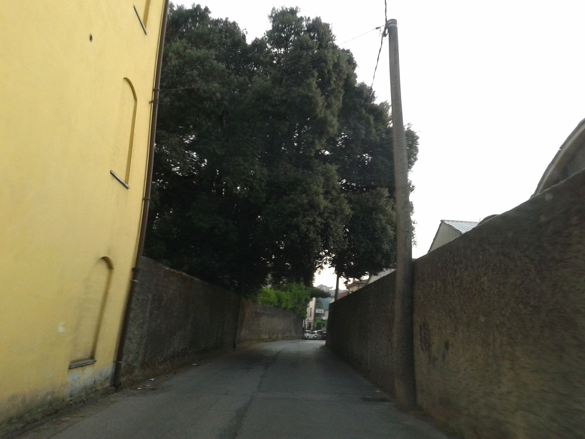 Street view near Villa Lombardi, Camaiore — © momix (CC BY-SA · Mapillary)