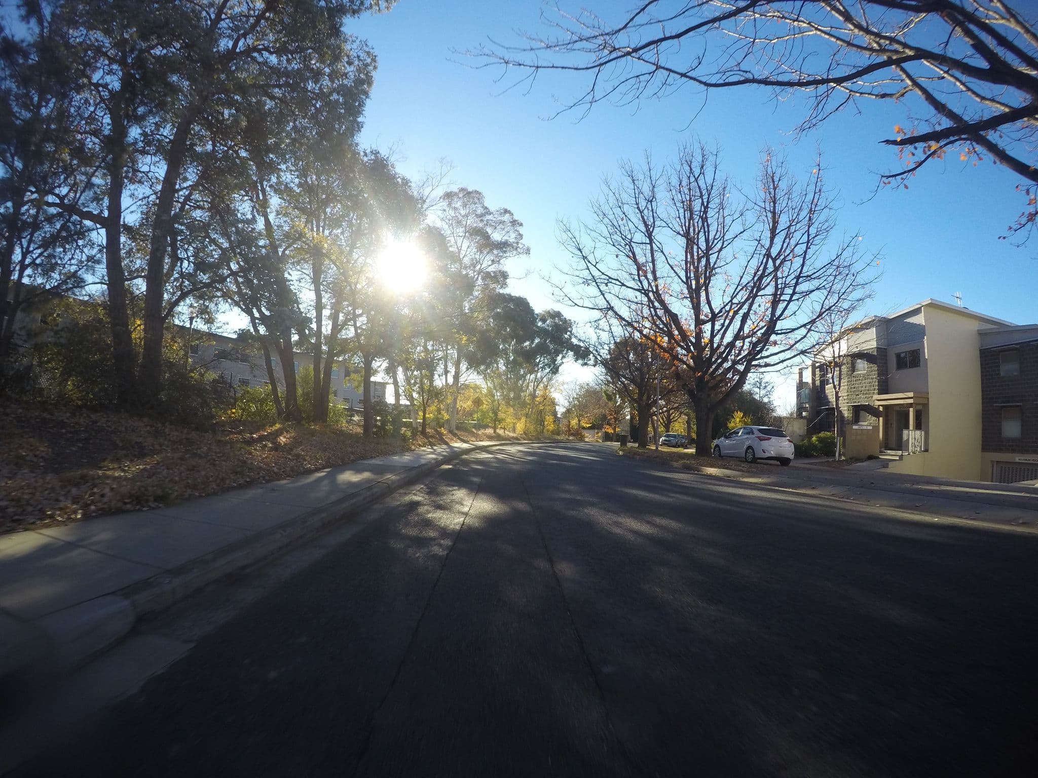 Street view near the Pavilion on Northbourne, Ainslie — © eneerhut (CC BY-SA · Mapillary)