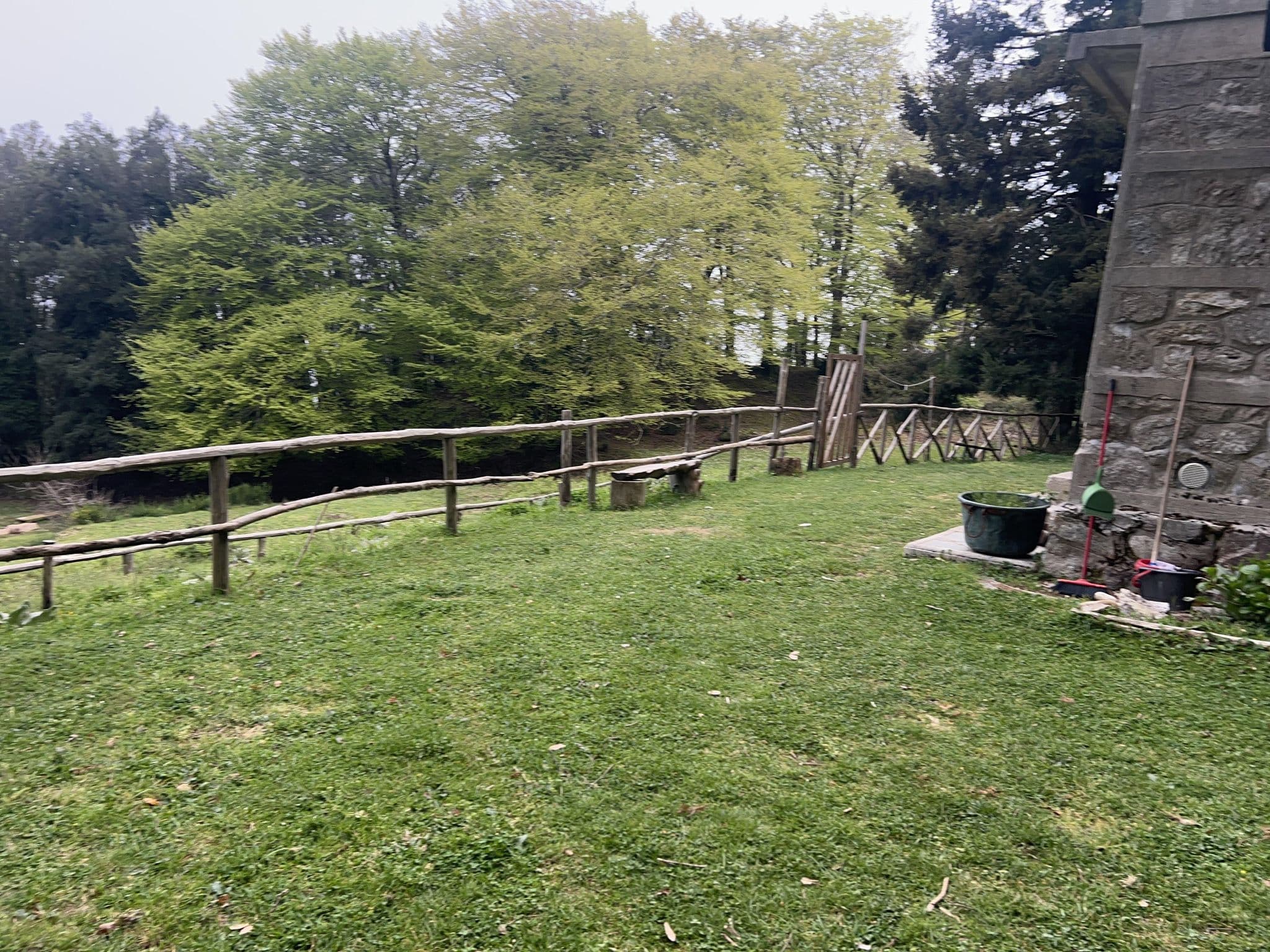 Street view near Rifugio il Boschetto Fiorito, Cittanova — © igorzo (CC BY-SA · Mapillary)