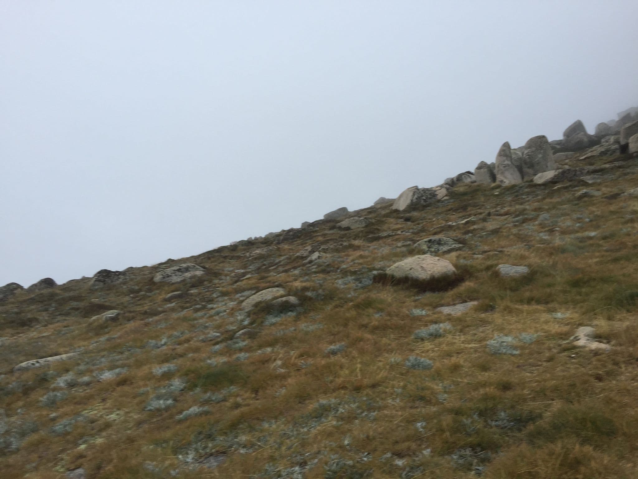 Street view near Seamans Hut, Kosciuszko National Park — © vagrant42 (CC BY-SA · Mapillary)