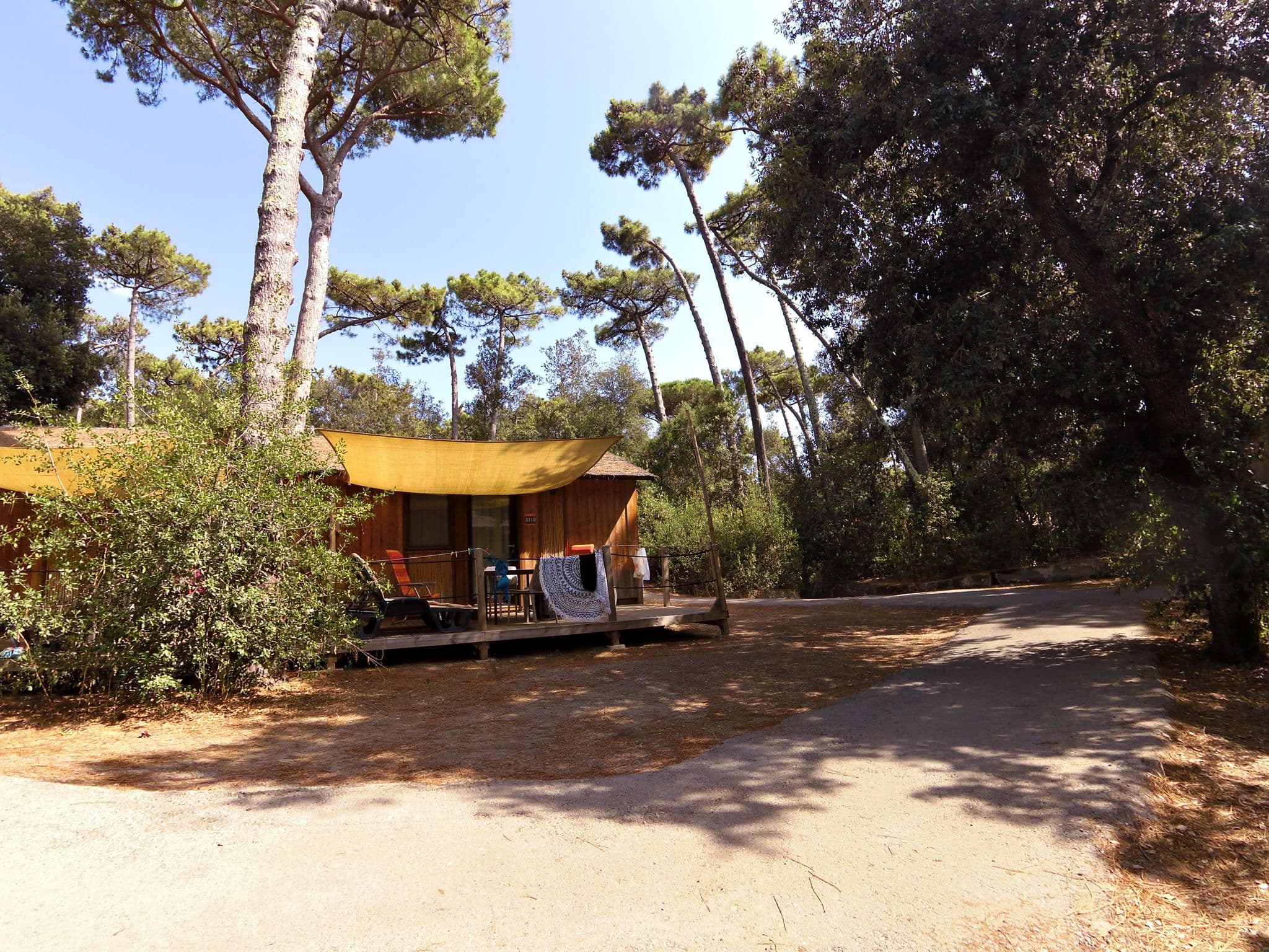 Street view near Paradù Tuscany EcoResort, Donoratico — © zors1843 (CC BY-SA · Mapillary)