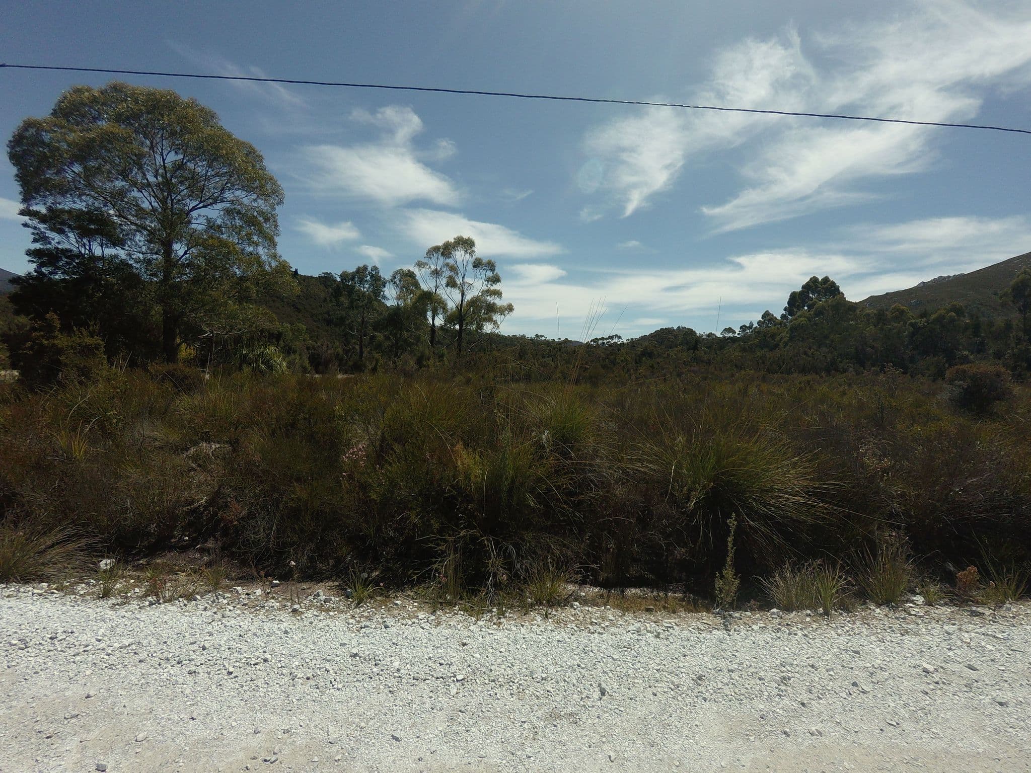 Street view near Teds Beach Campground, Geeveston — © tastrax (CC BY-SA · Mapillary)