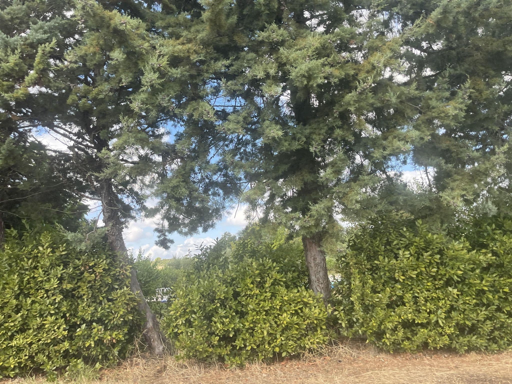 Street view near Le Selvole, Pomarance — © oeschinen (CC BY-SA · Mapillary)