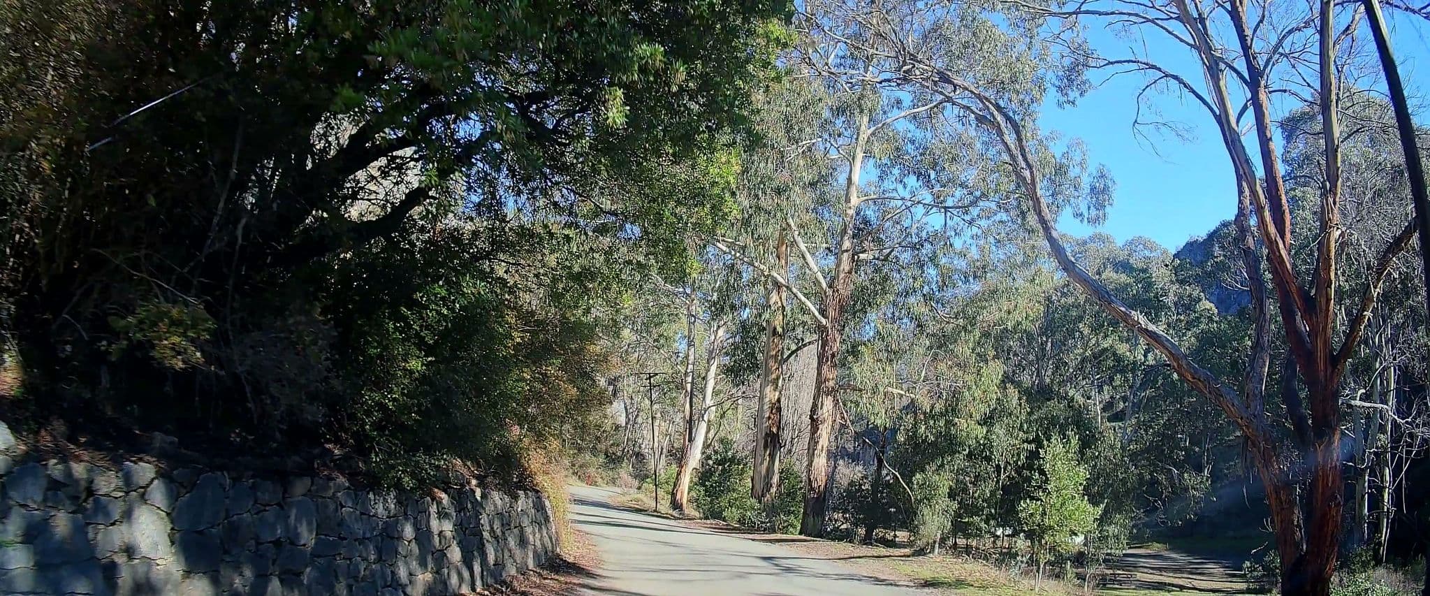 Street view near Caves House, Batlow — © maxim752 (CC BY-SA · Mapillary)