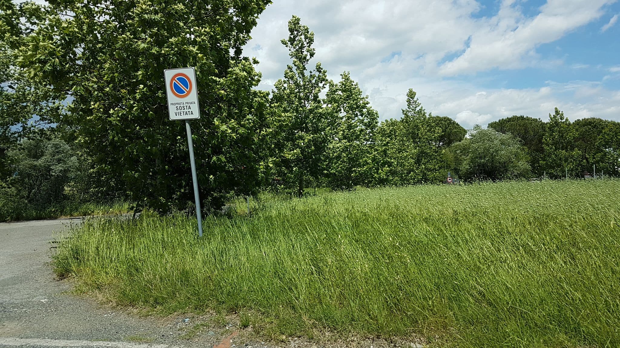 Street view near Area Sosta Camper Macchia Verde, Rosignano Marittimo — © jopparn (CC BY-SA · Mapillary)