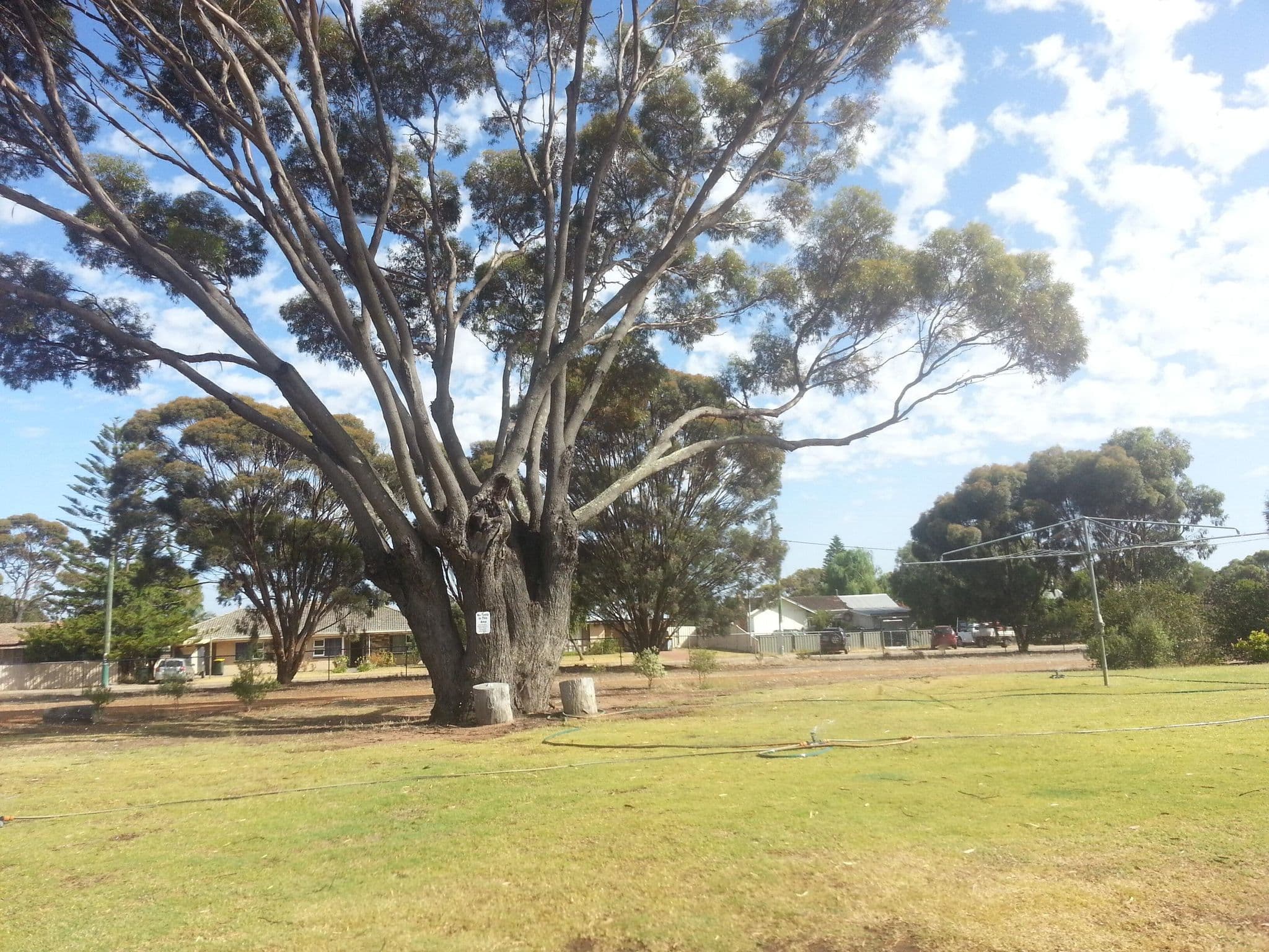 Street view near Gnowangerup Caravan Park, Katanning — © bob3bob3 (CC BY-SA · Mapillary)