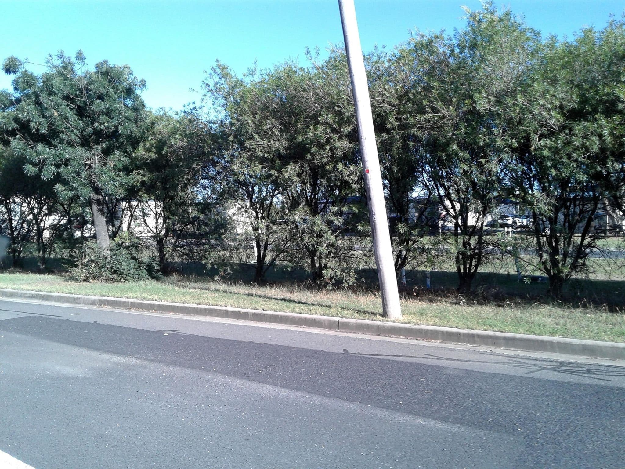 Street view near Warialda Caravan Park, Warialda — © bob3bob3 (CC BY-SA · Mapillary)