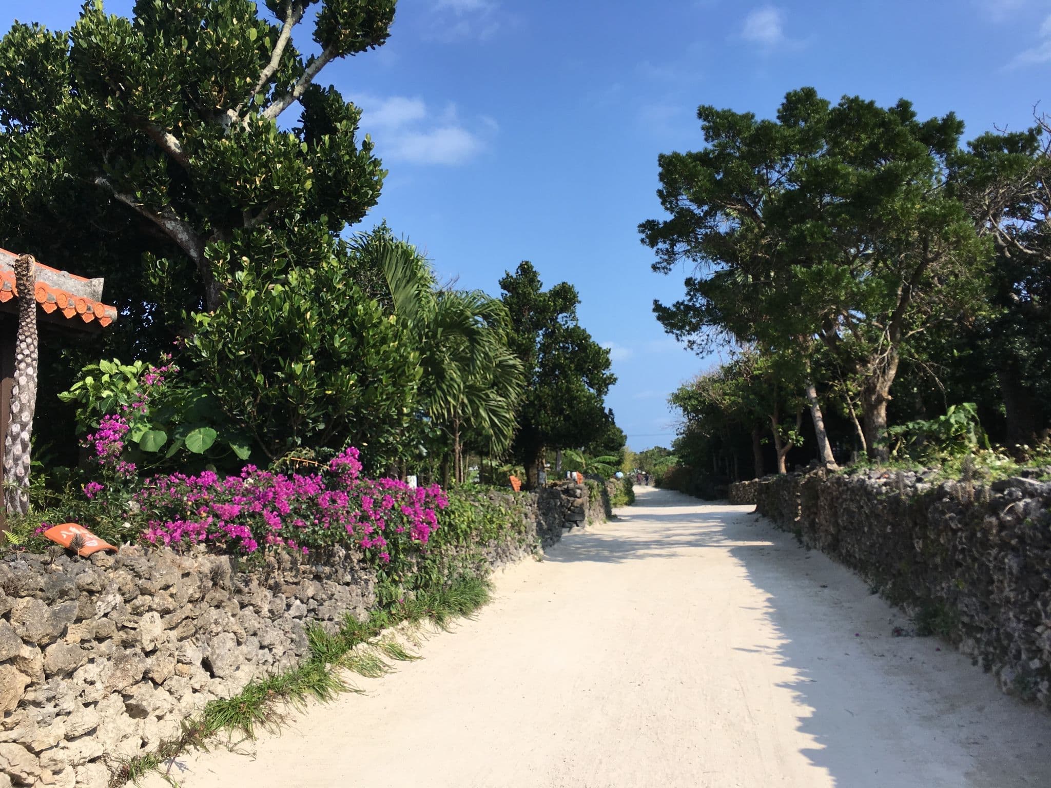 Street view near JYH, Ishigaki — © mapconcierge (CC BY-SA · Mapillary)