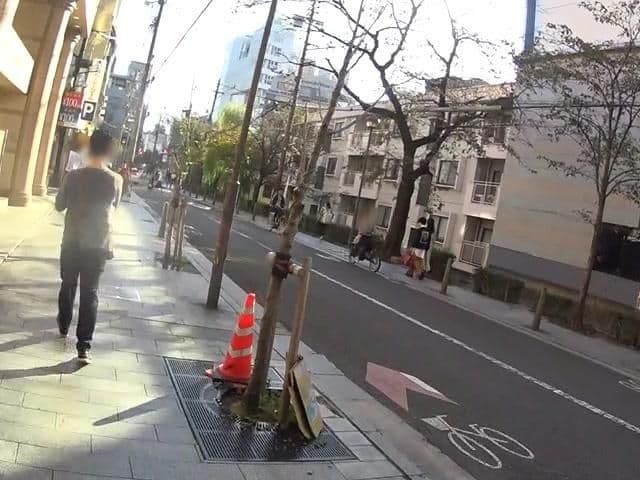 Street view near Marion, Kyoto
