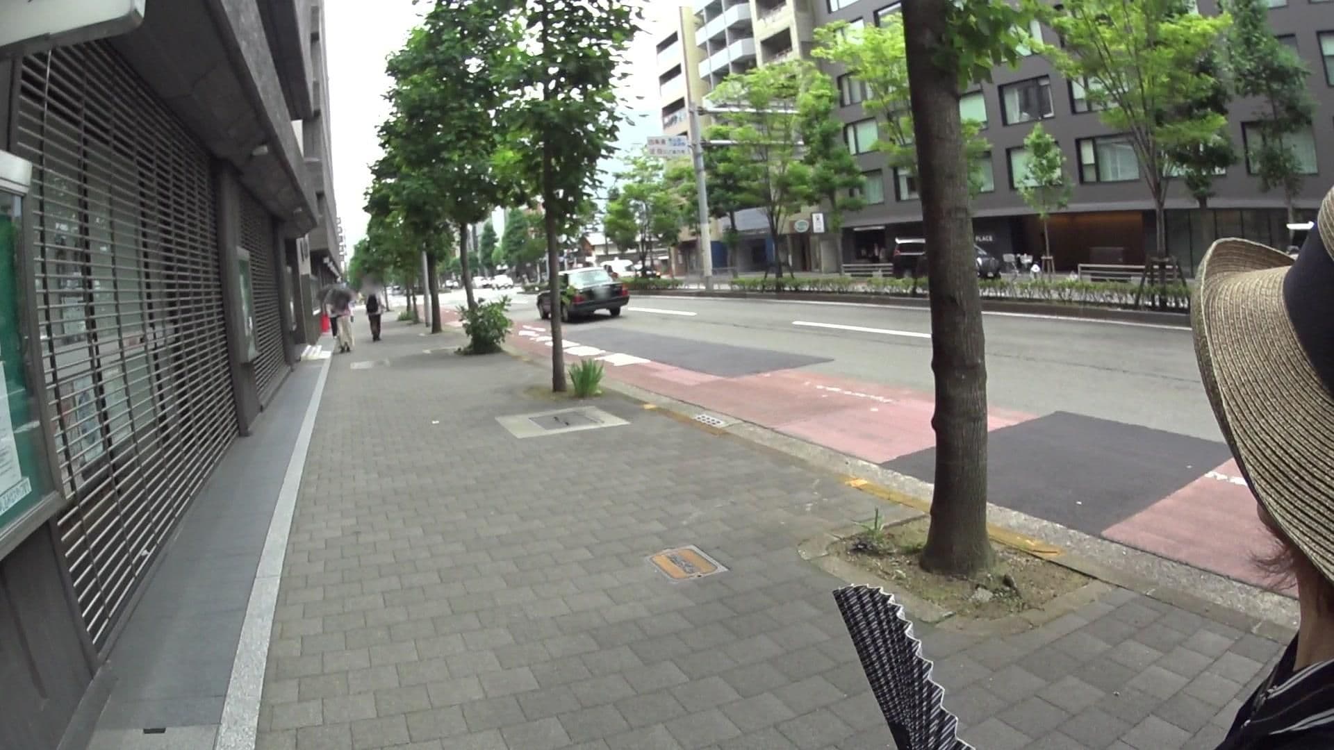 Street view near Hyatt Place Kyoto, Kyoto