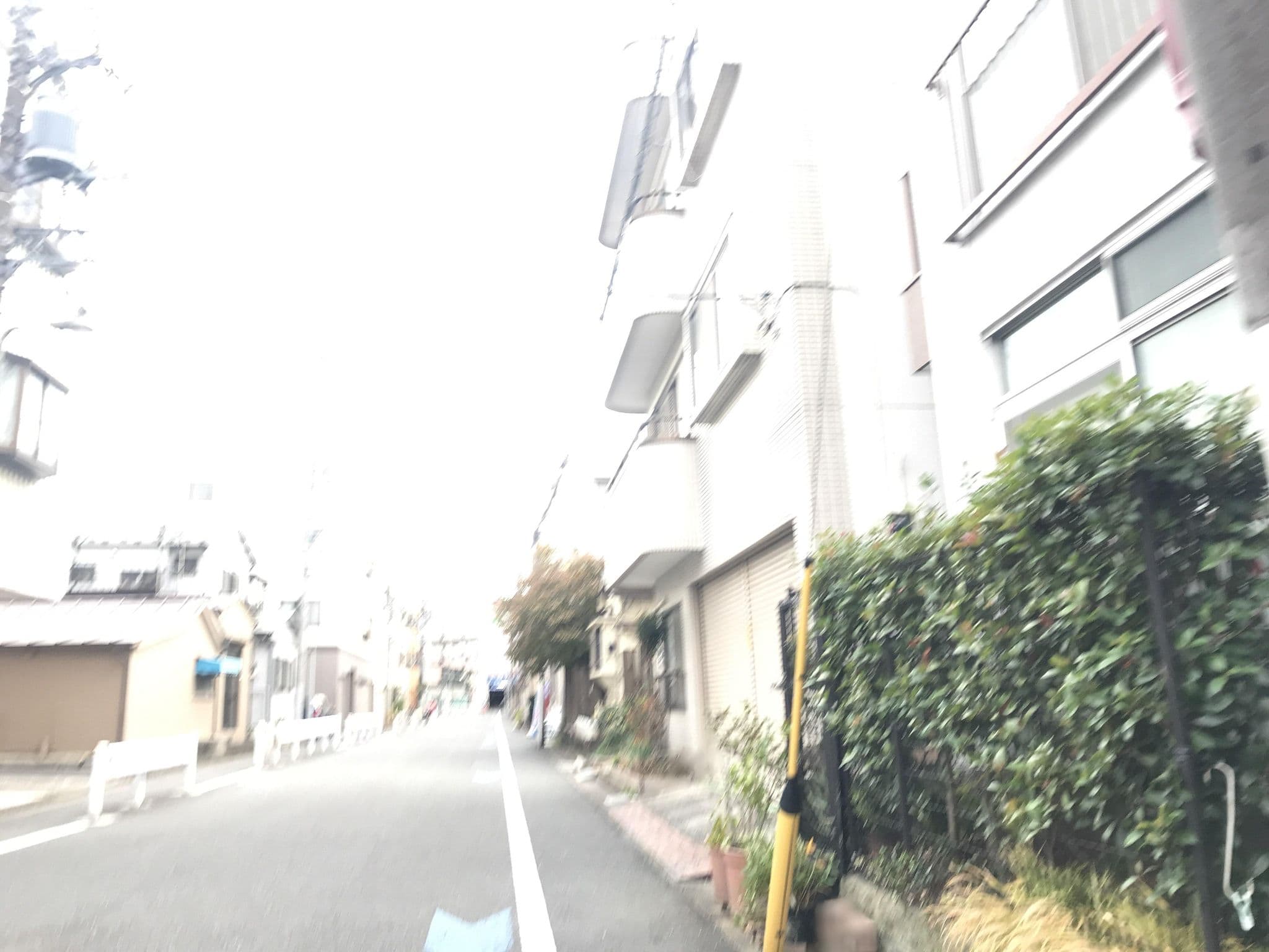 Street view near SARUE GUEST HOUSE, Kinshi — © musashino5 (CC BY-SA · Mapillary)