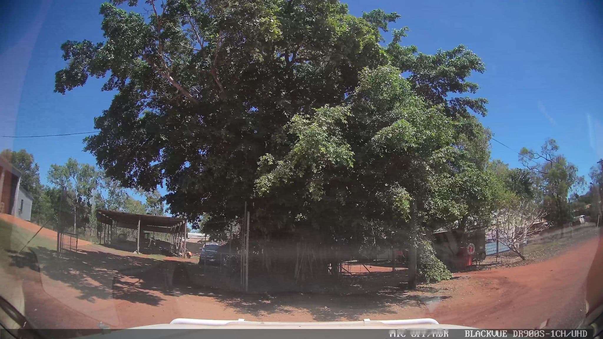 Street view near Oasis, Bamaga — © jthnz (CC BY-SA · Mapillary)