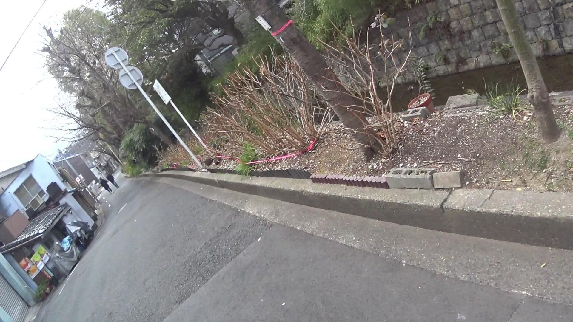 Street view near Yaeya Kamogawa, Kyoto — © yasunari (CC BY-SA · Mapillary)