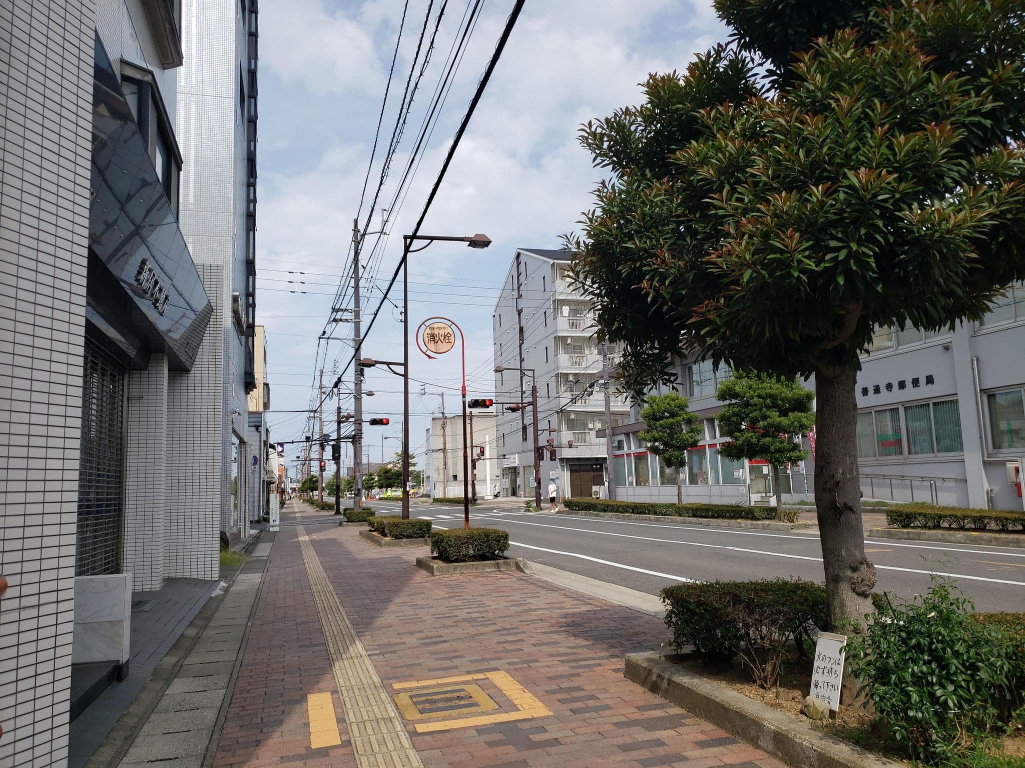 Street view near 善通寺ステーションホテルSAKURA, Zentsujichó — © 22tk1984 (CC BY-SA · Mapillary)