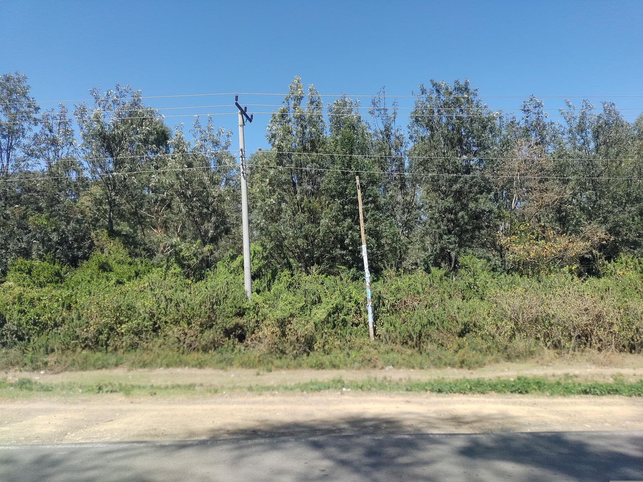 Street view near Yellow green hotel, Naivasha — © mapeadora (CC BY-SA · Mapillary)