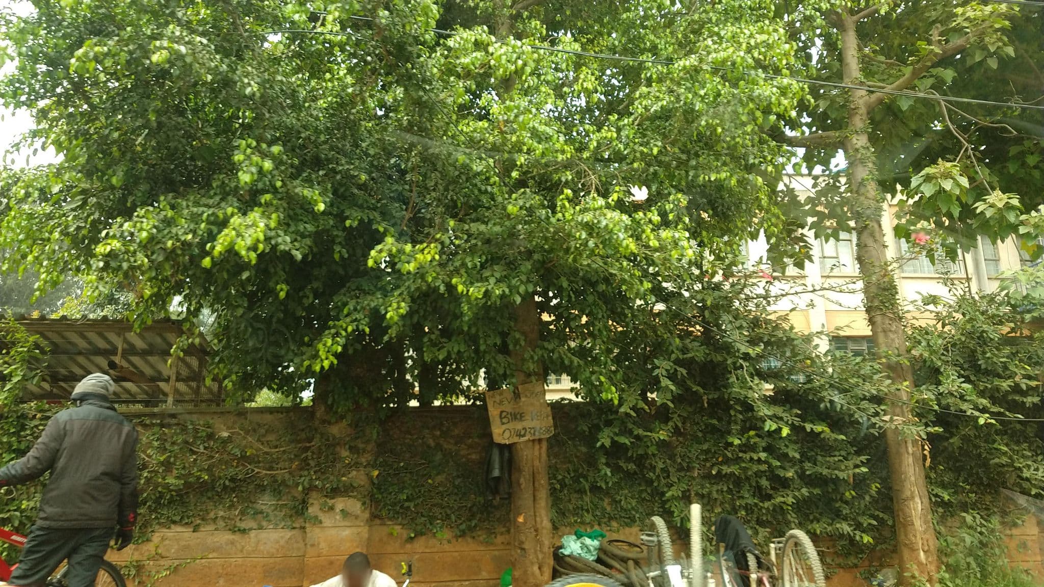Street view near Eagle Nest Guest House, Nairobi