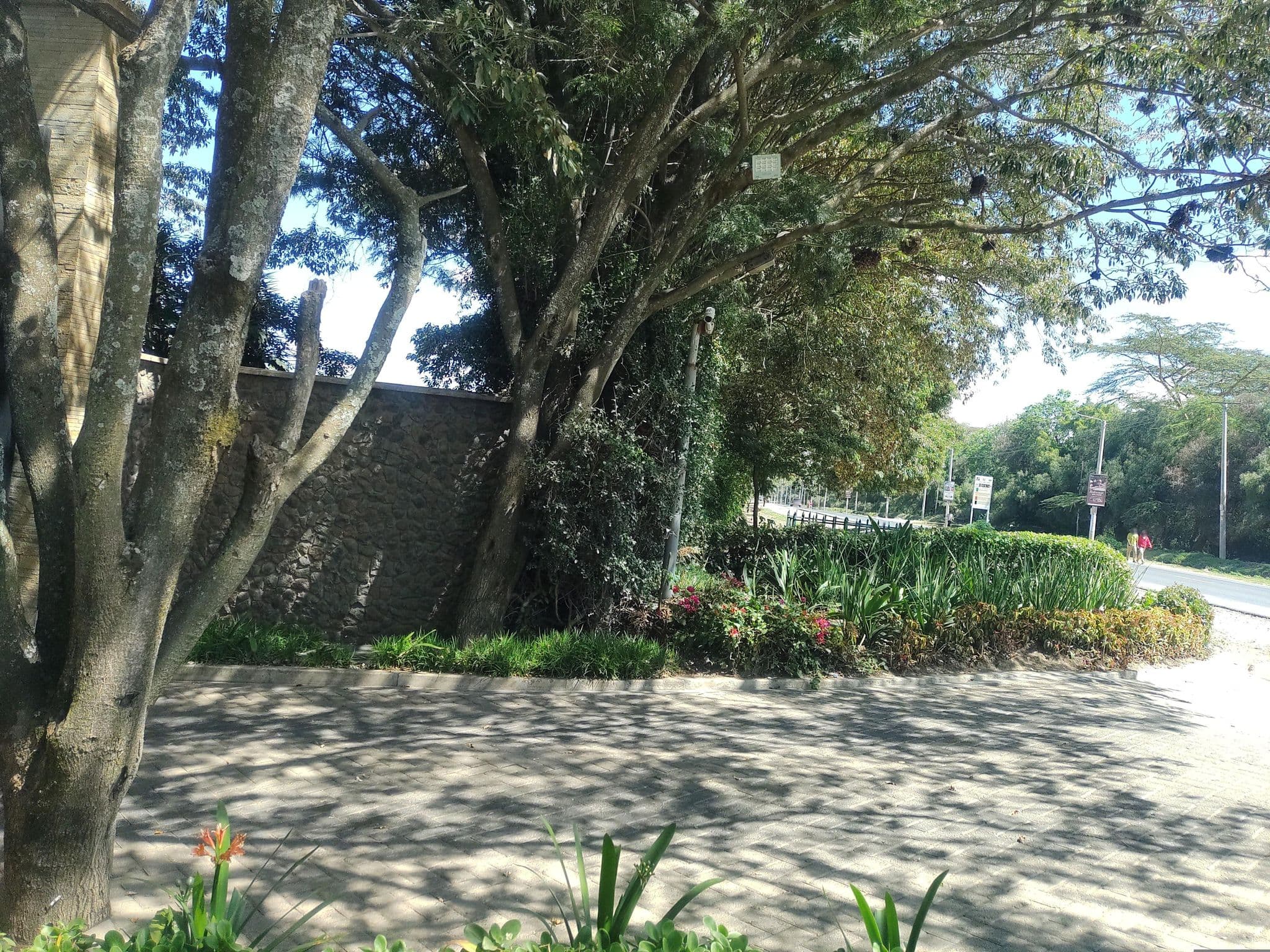 Street view near Gate Ol-Njorowa Ltd., Naivasha — © mapeadora (CC BY-SA · Mapillary)