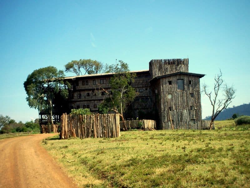 Treetops Lodge (via Wikimedia Commons, CC BY-SA 2.0)