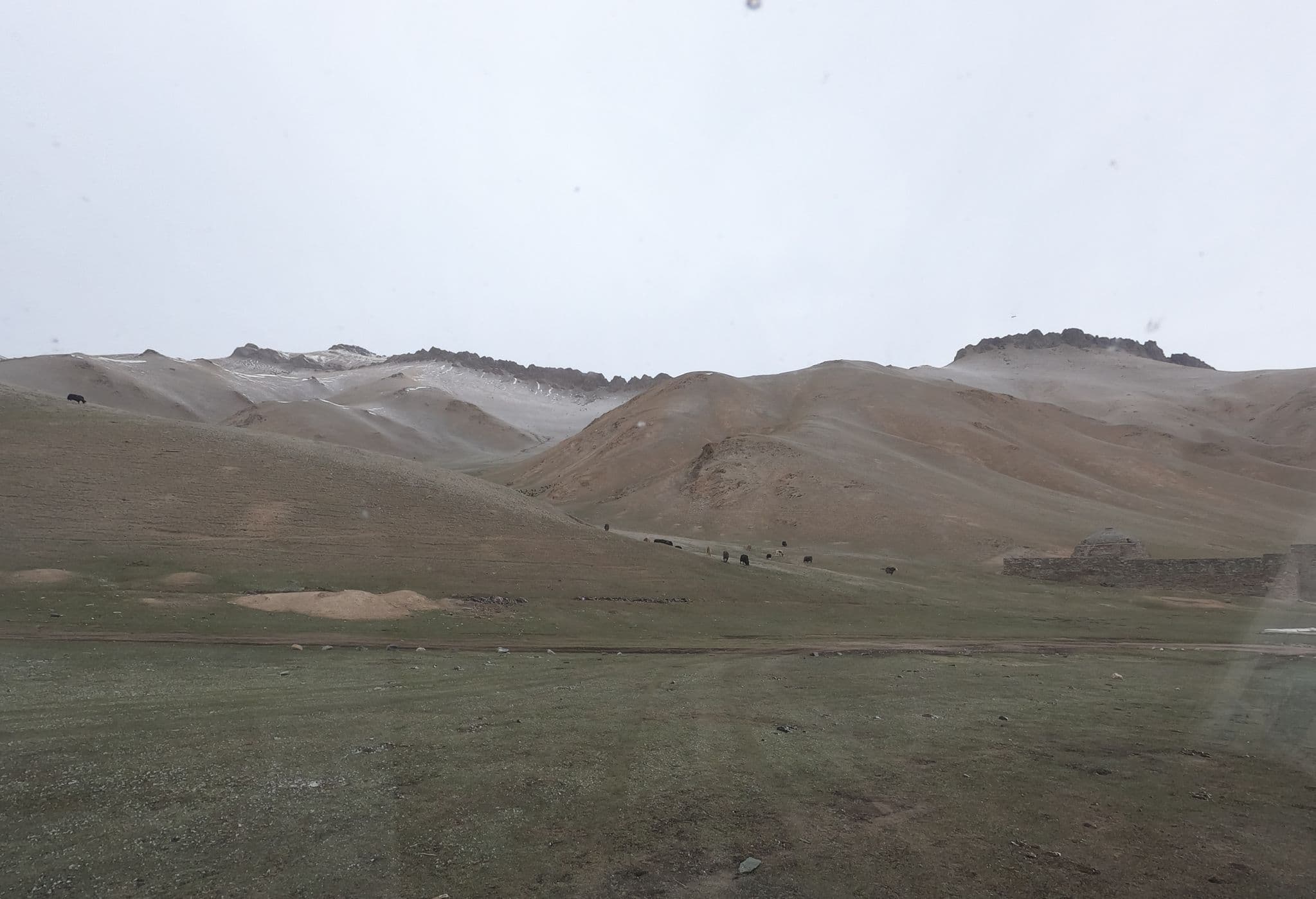Street view near Yurt camp, Baetovo — © isoipsa (CC BY-SA · Mapillary)