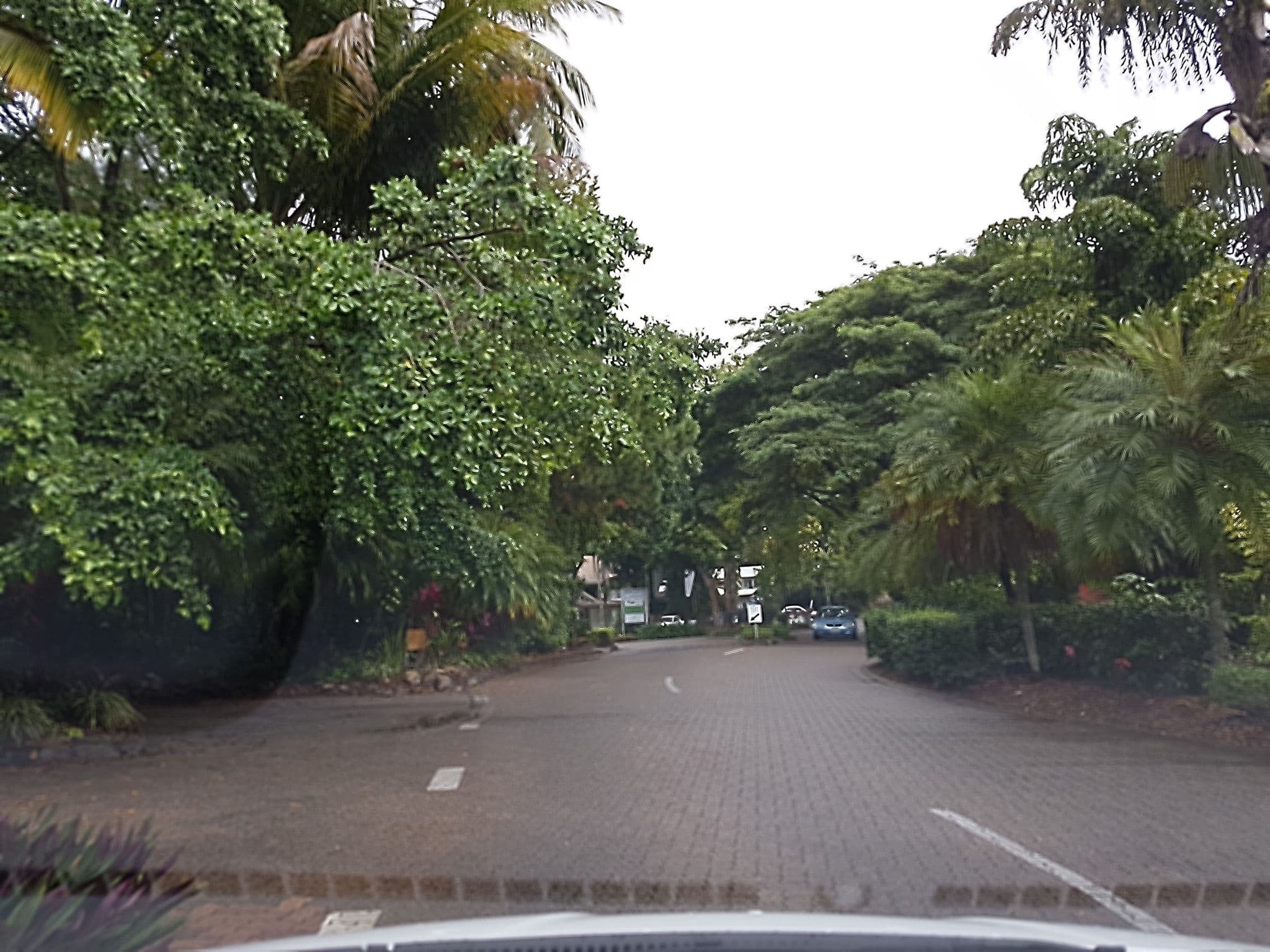 Street view near Alamanda Palm Cove by Lancemore, Palm Cove โ ยฉ stev391 (CC BY-SA ยท Mapillary)