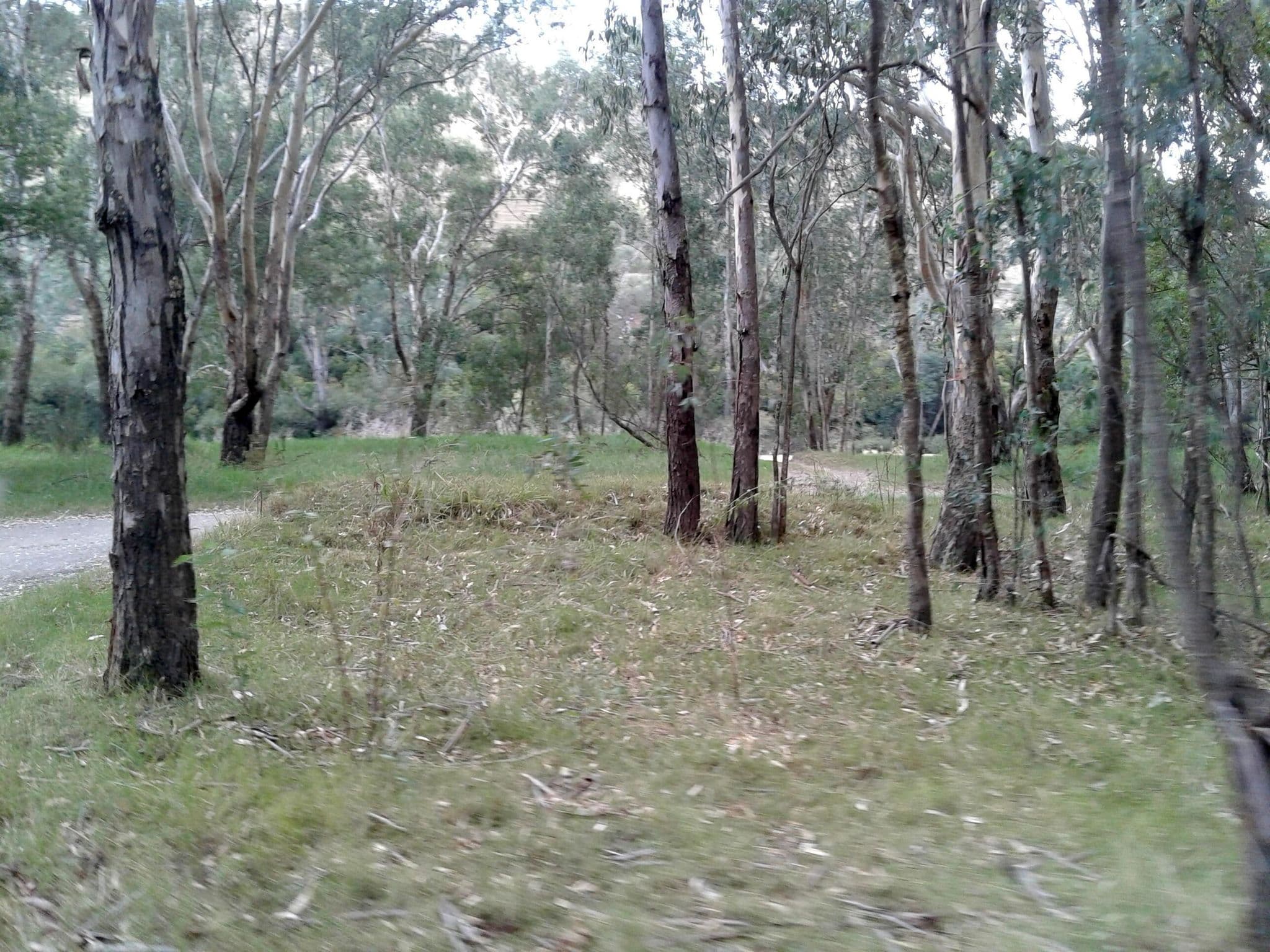 Street view near Pebble Beach - Murray River Reserve, Tumbarumba — © bob3bob3 (CC BY-SA · Mapillary)
