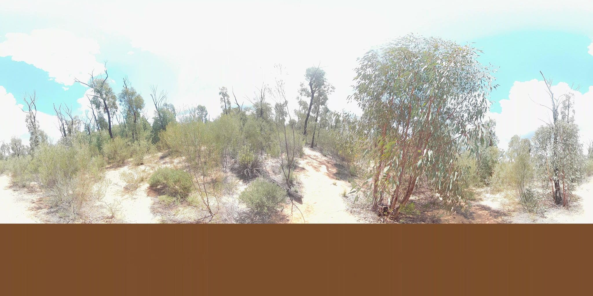 Street view near Salt Caves Campground, Coonabarabran — © Wallaby (CC BY-SA · Mapillary)