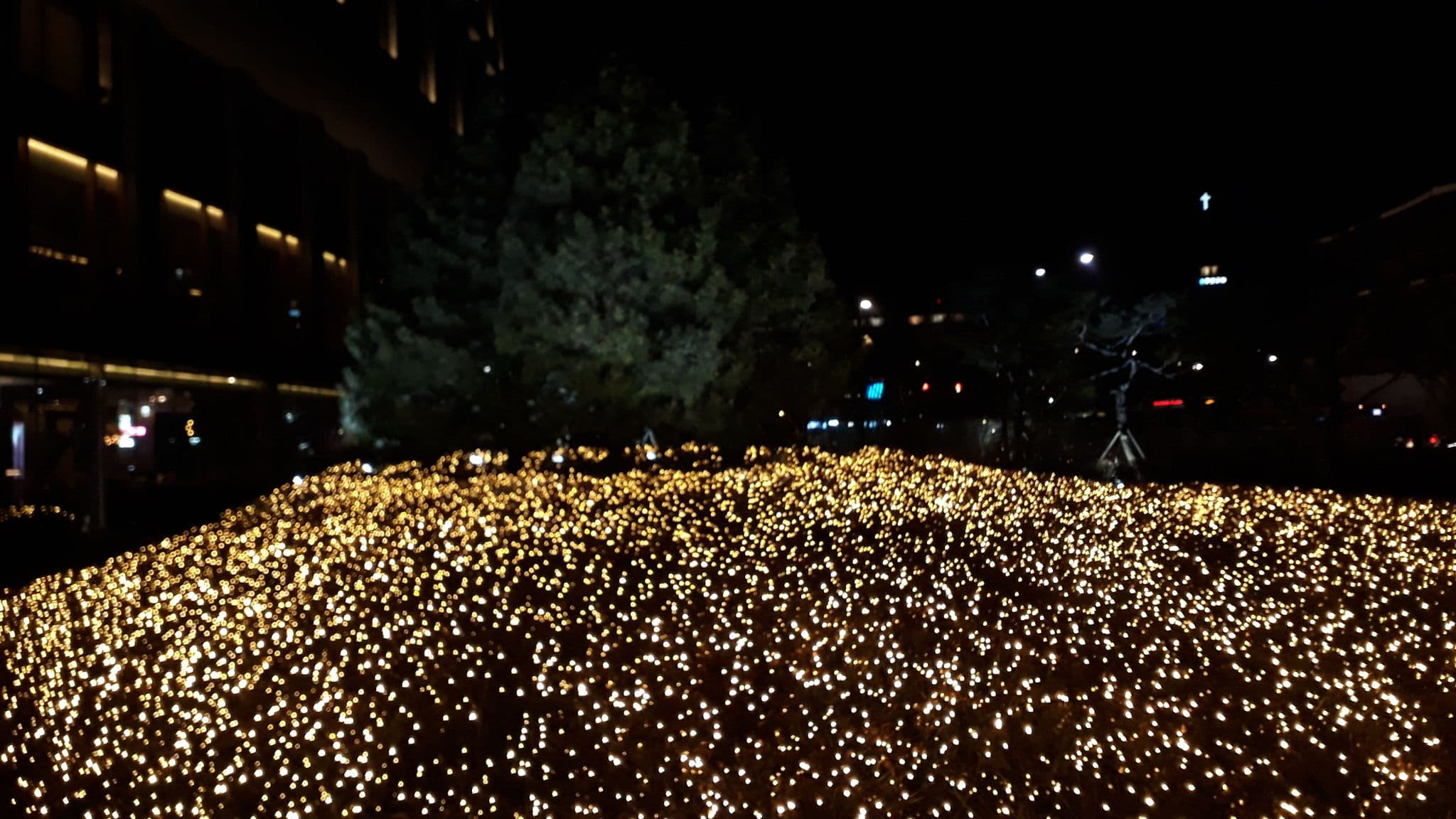 Street view near JW 메리어트 동대문 스퀘어, Seoul — © thebigtouffe (CC BY-SA · Mapillary)