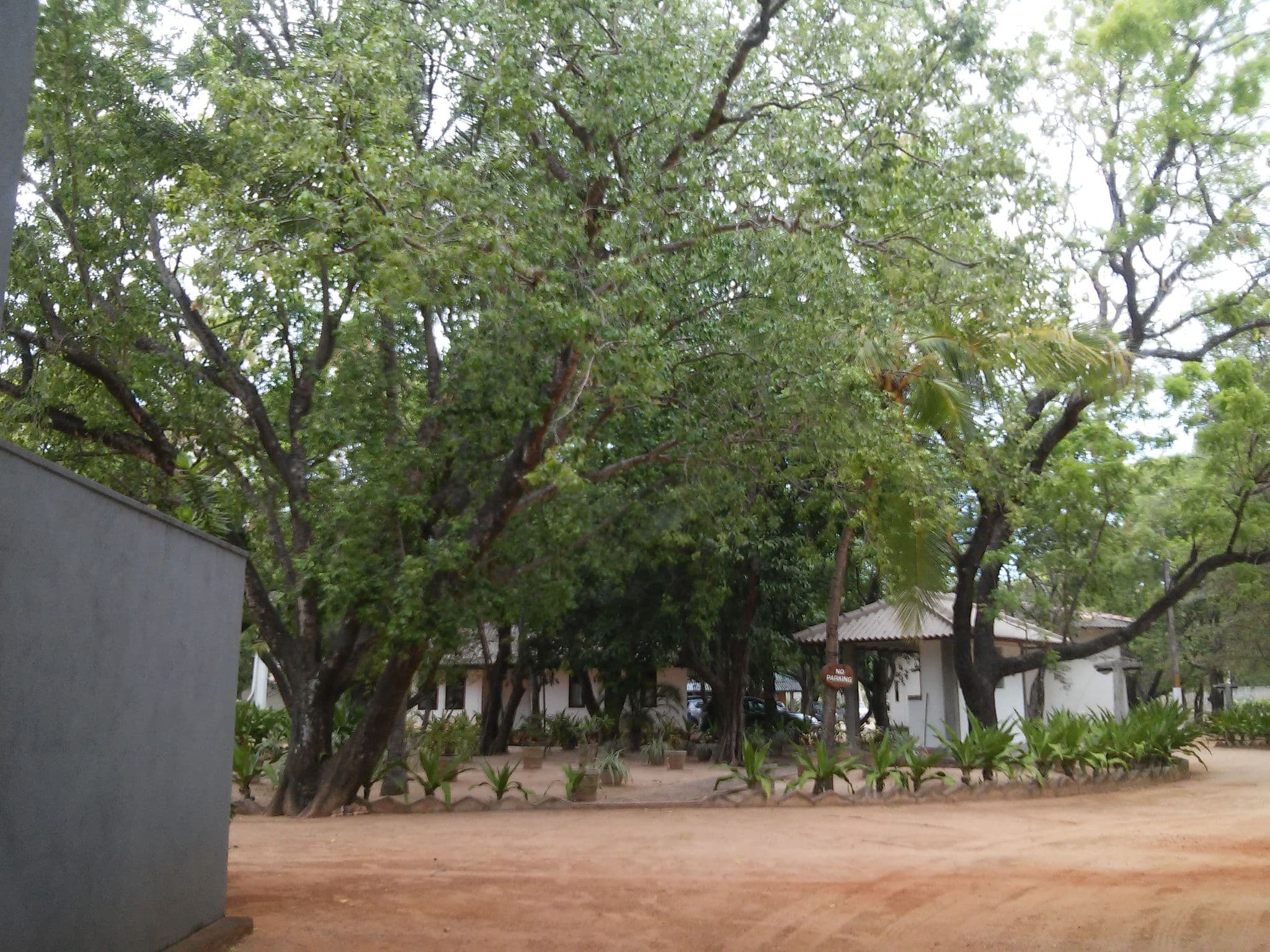 Street view near Nilaveli Beach Hotel, Trincomalee — © shravan91 (CC BY-SA · Mapillary)
