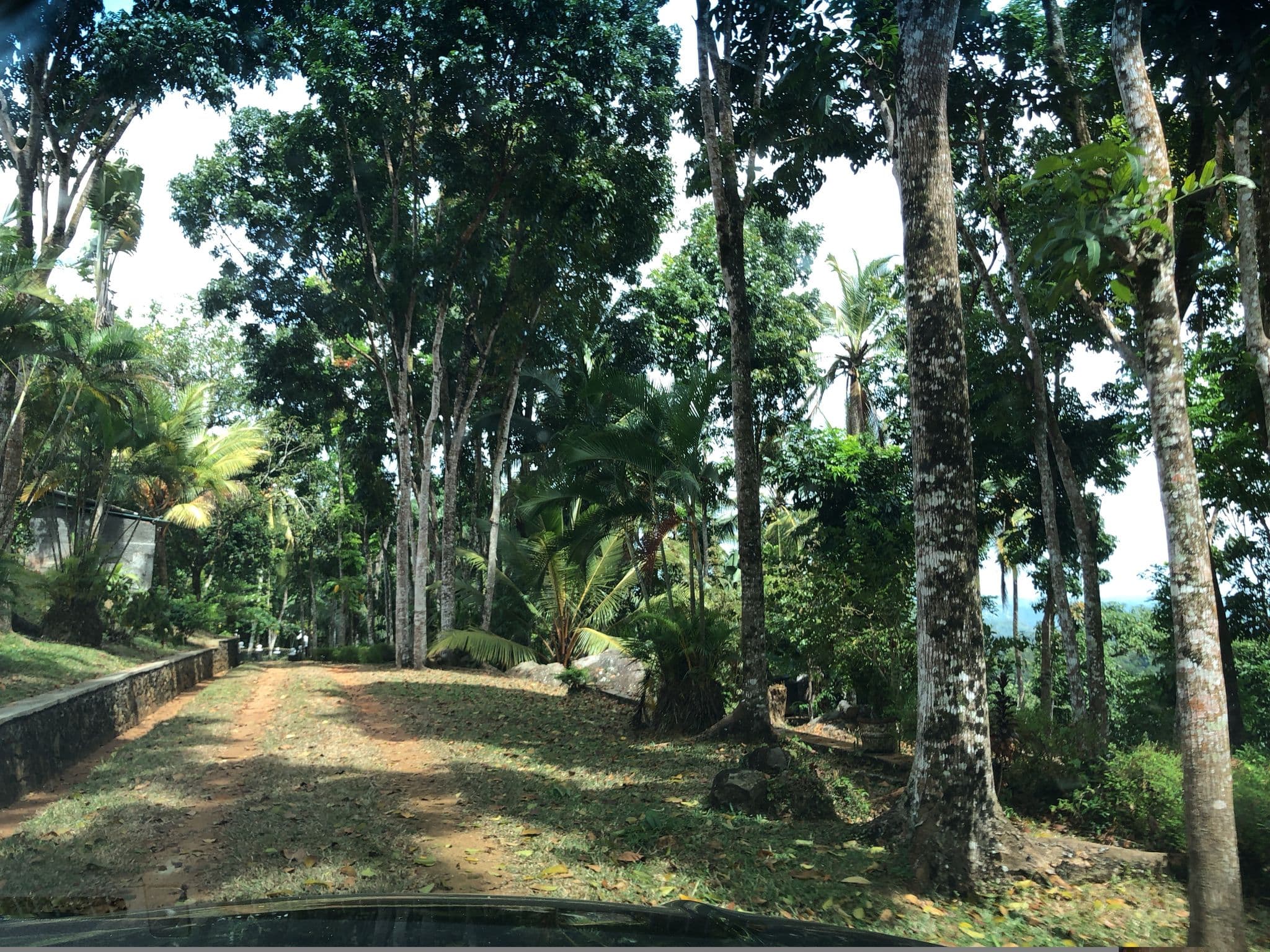 Street view near Pantiya Estate, Horawala Junction — © sadeepa (CC BY-SA · Mapillary)