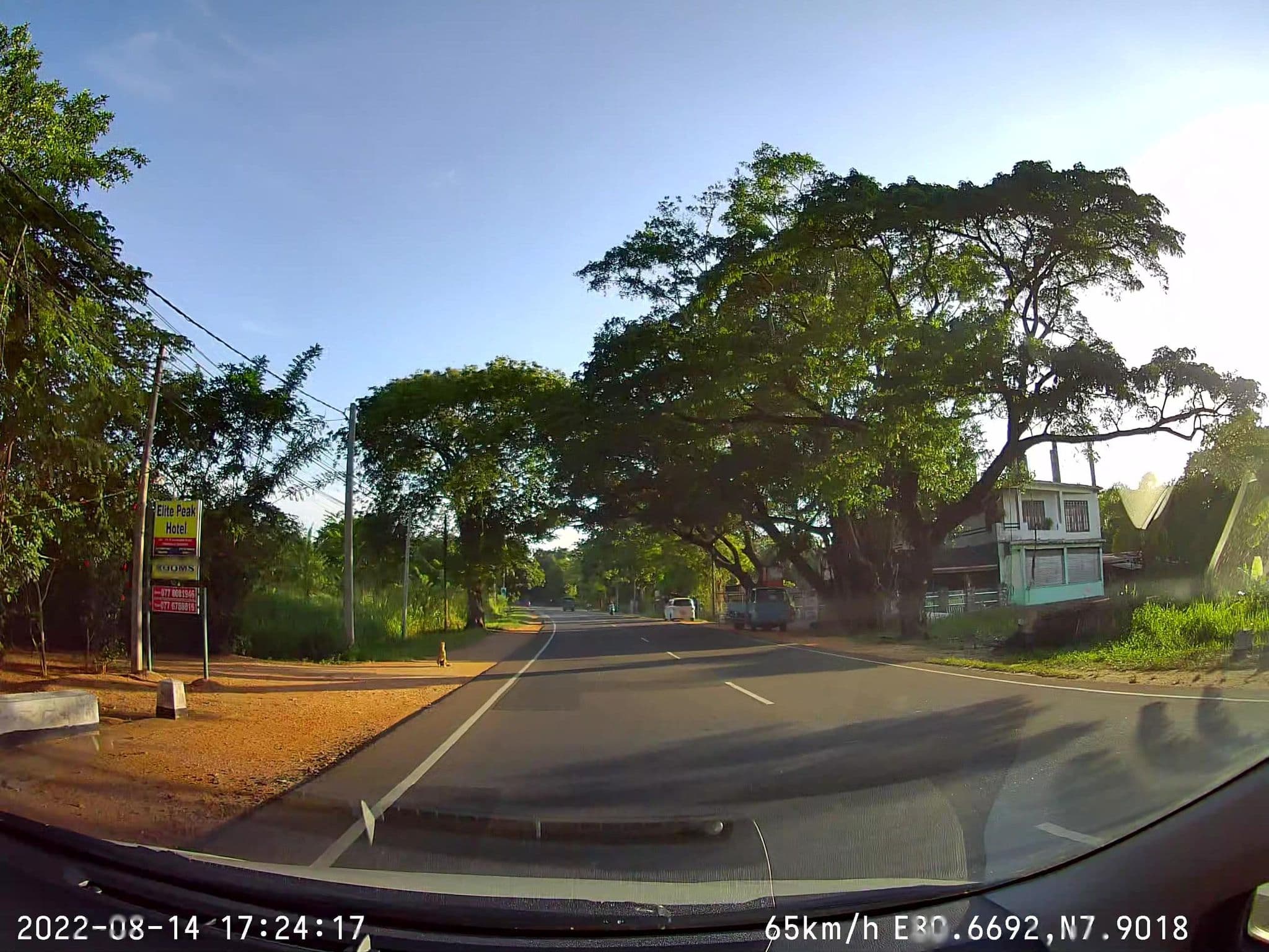 Street view near Hotel Sakura Blue, Dambulla — © sahanbsb (CC BY-SA · Mapillary)