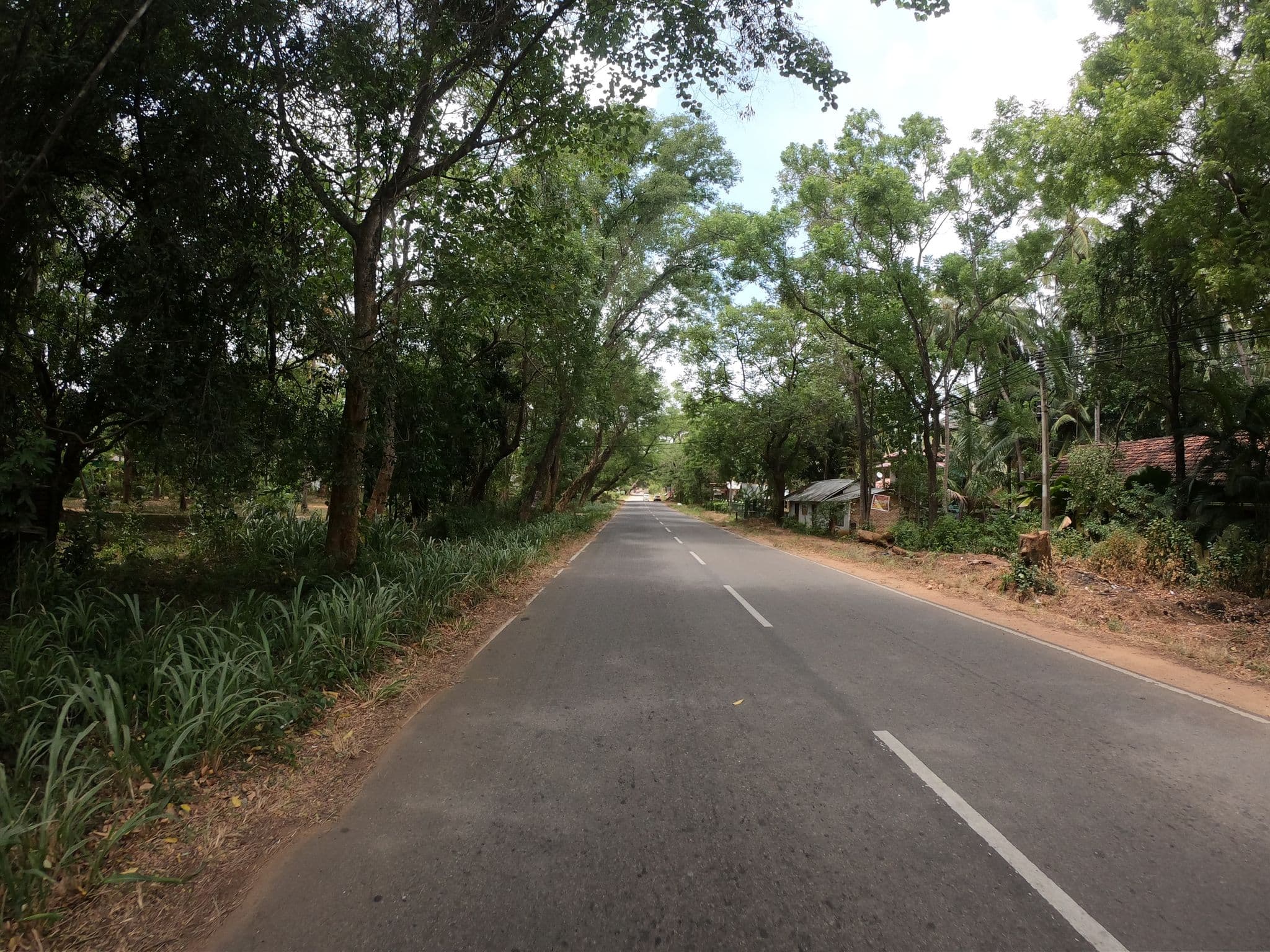 Street view near Indika Hotel, Sigiriya
