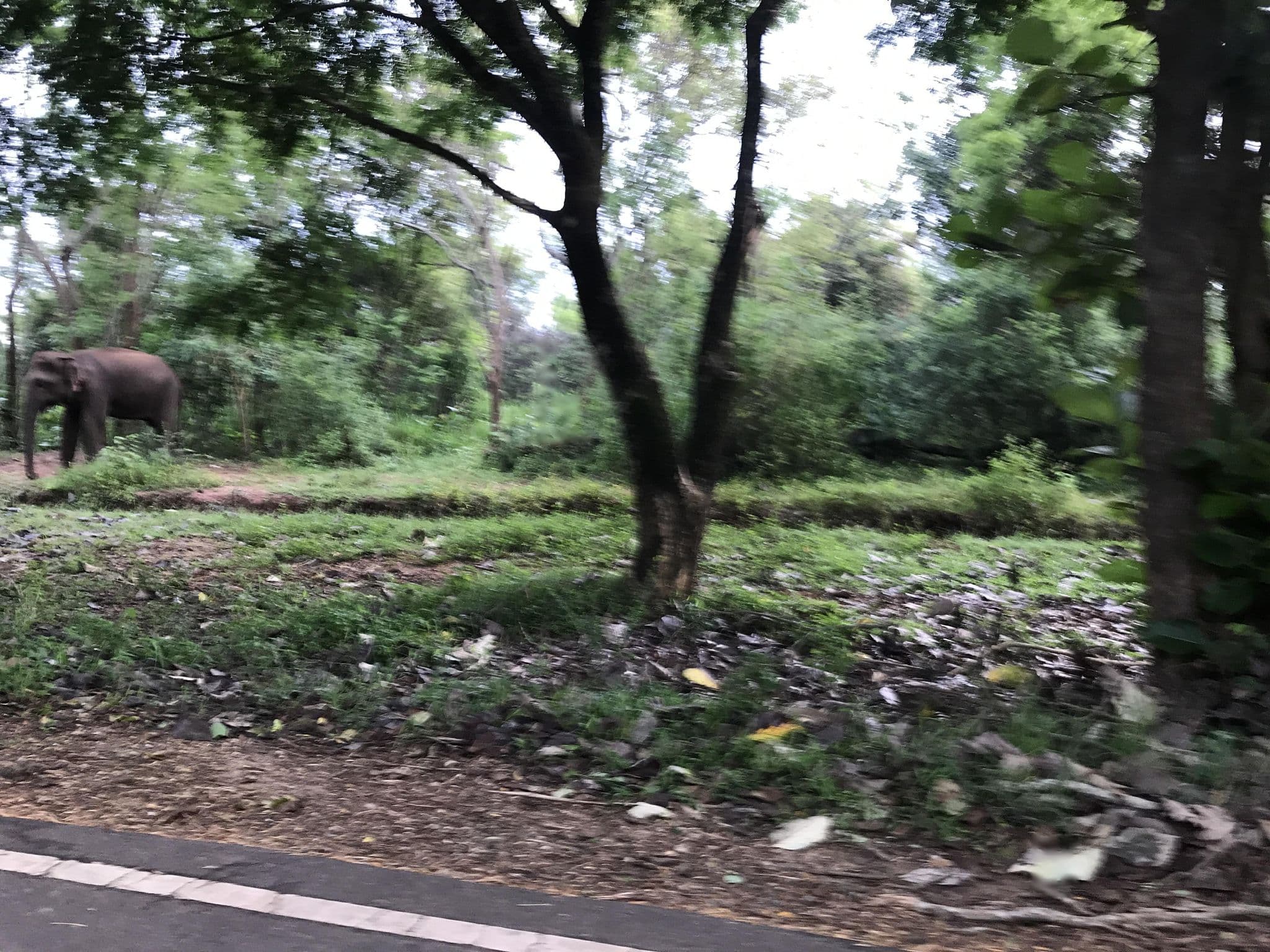 Street view near Kolonta Holiday Bungalow, Haputale — © maheshika (CC BY-SA · Mapillary)