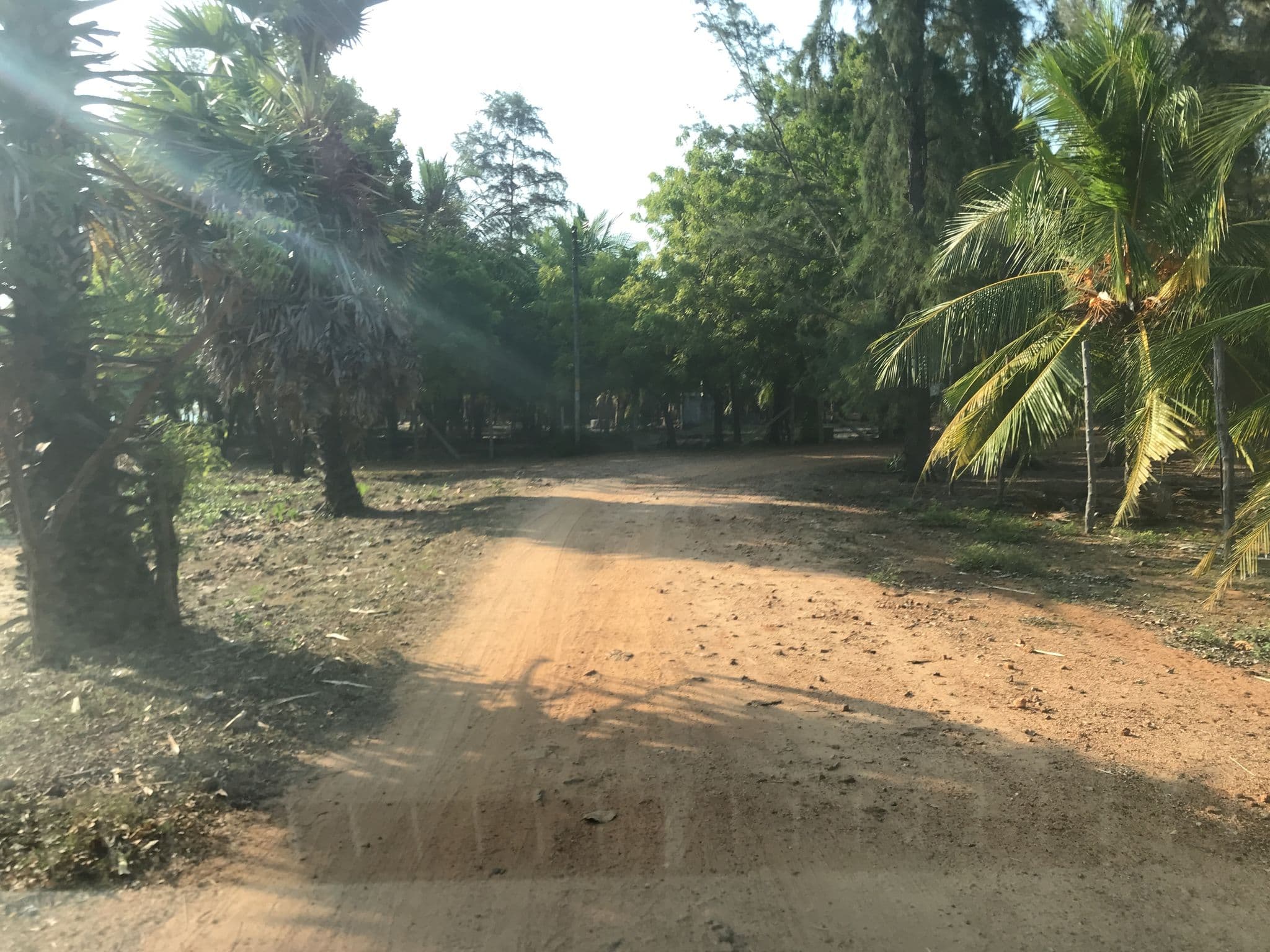 Street view near Lord of the Forest, Batticaloa — © rajh28 (CC BY-SA · Mapillary)