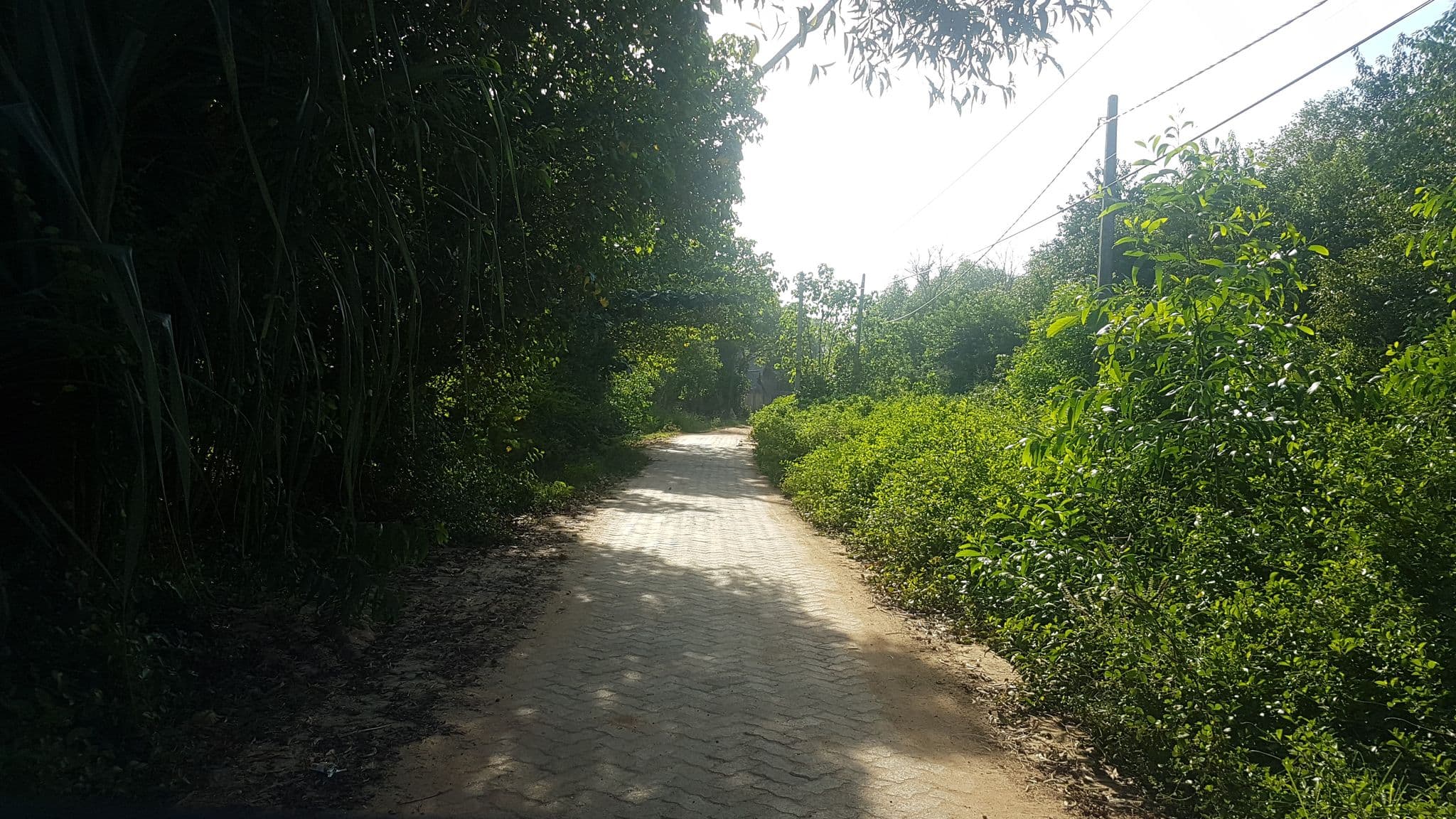 Street view near Serein Beach Hotel, Tangalle — © mbethke (CC BY-SA · Mapillary)