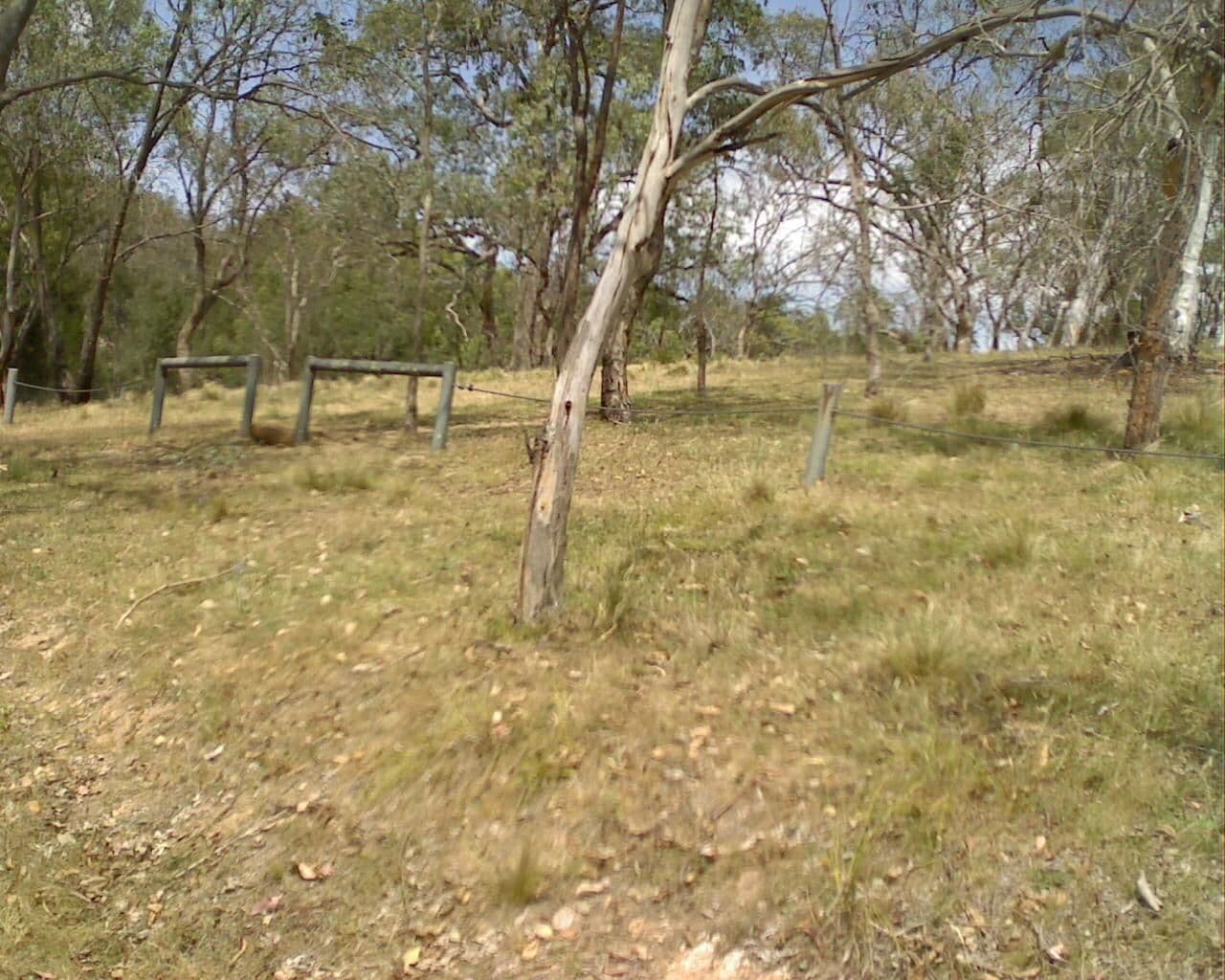 Street view near Bummaroo Ford campground, Crookwell — © bob3bob3 (CC BY-SA · Mapillary)