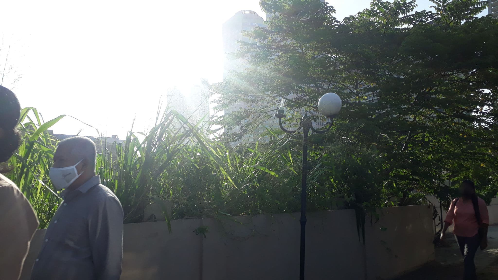 Street view near Monkey downtown, Colombo — © maheshika (CC BY-SA · Mapillary)