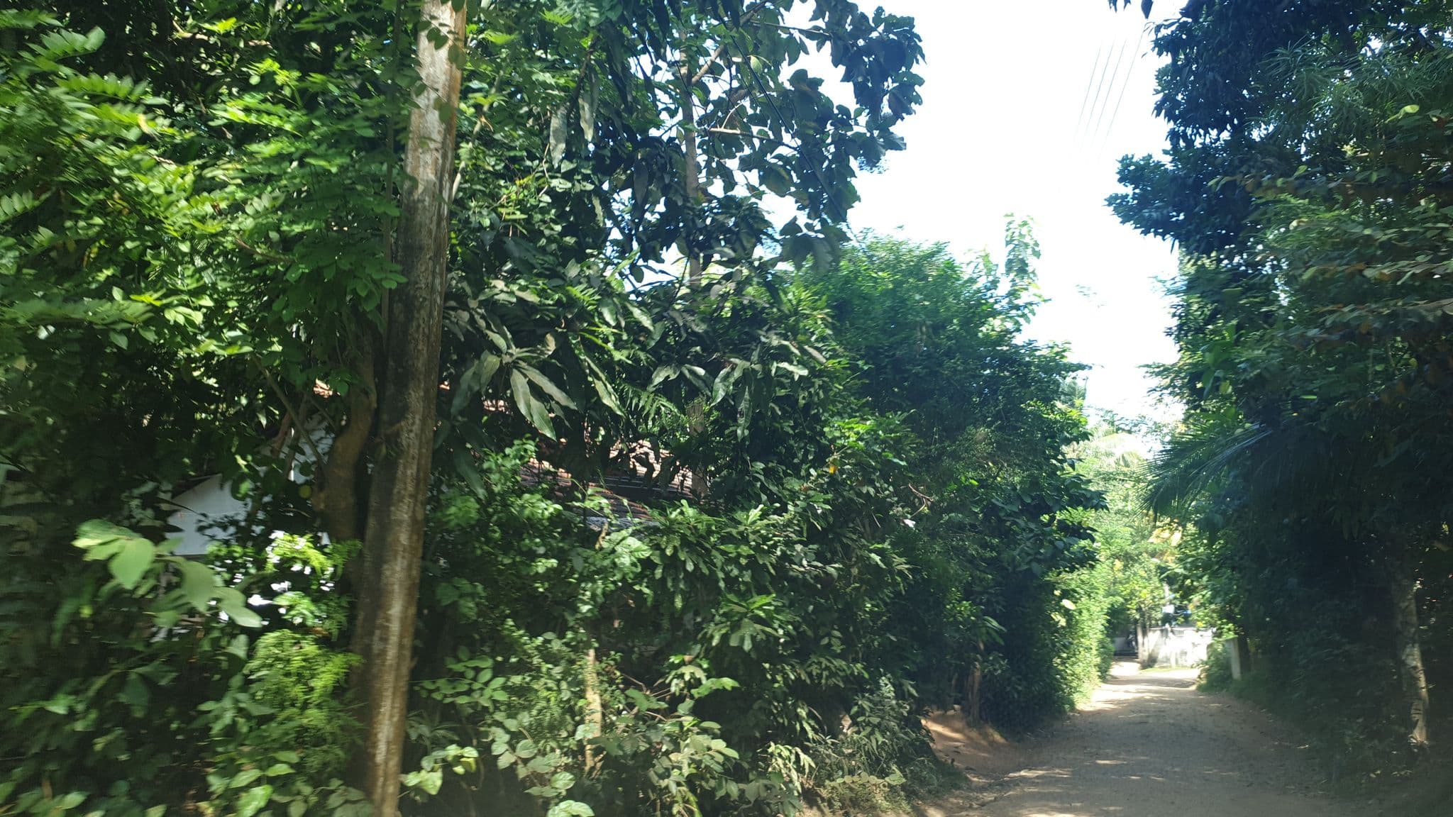 Street view near Lazy Monkey Surf Hostel, Beliatta — © coreagc (CC BY-SA · Mapillary)
