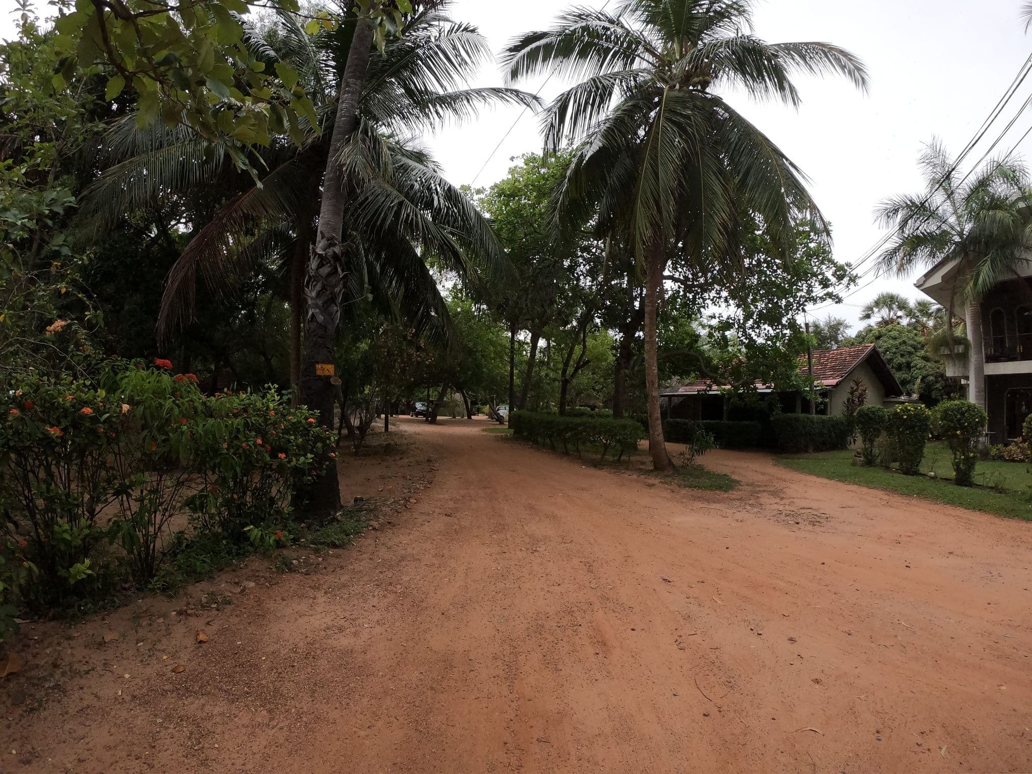 Street view near Riviera Resort, Batticaloa — © paulinus (CC BY-SA · Mapillary)